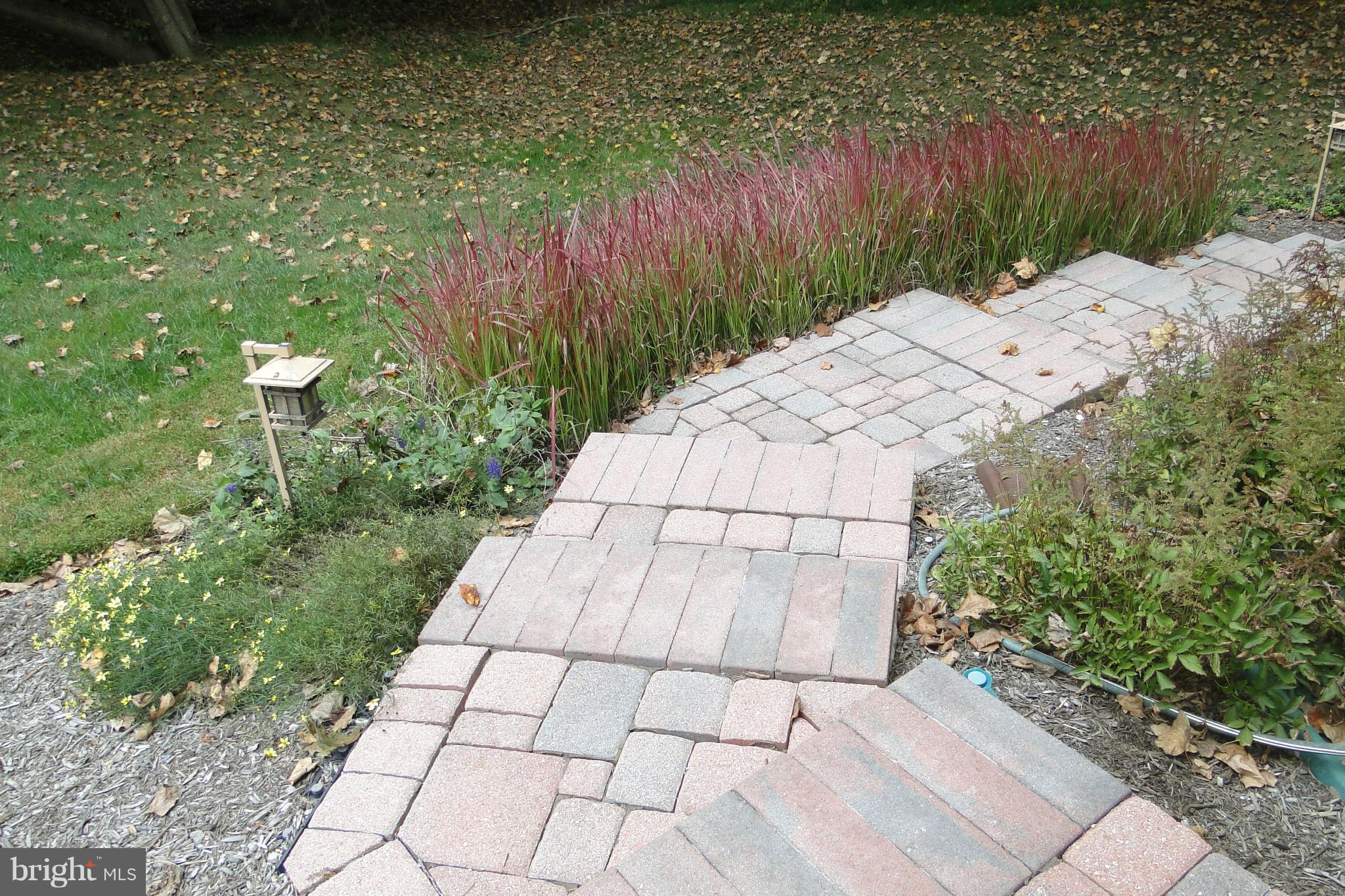 CLARY'S FOREST - Residential