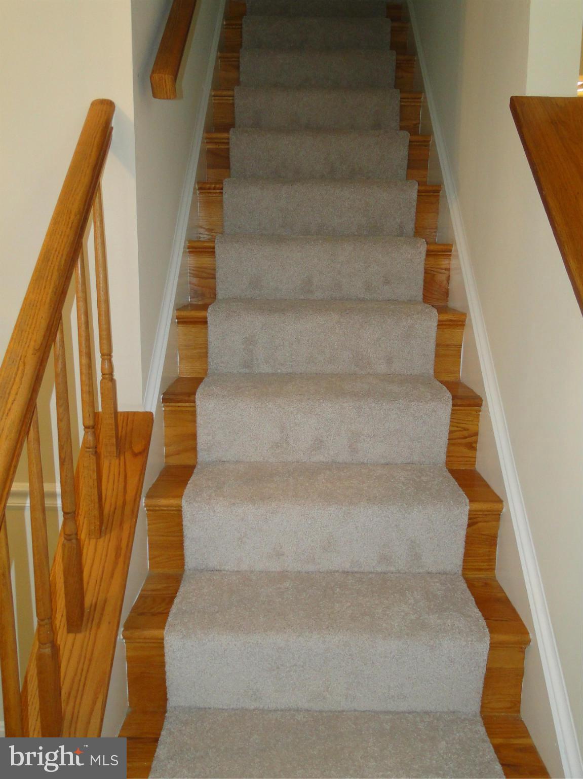 CLARY'S FOREST - Residential