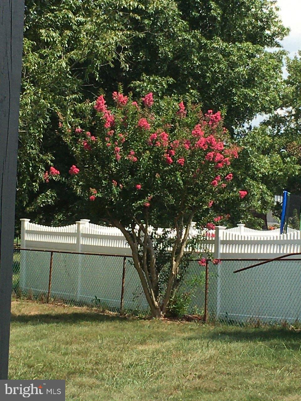 MAPLEWOOD - Residential