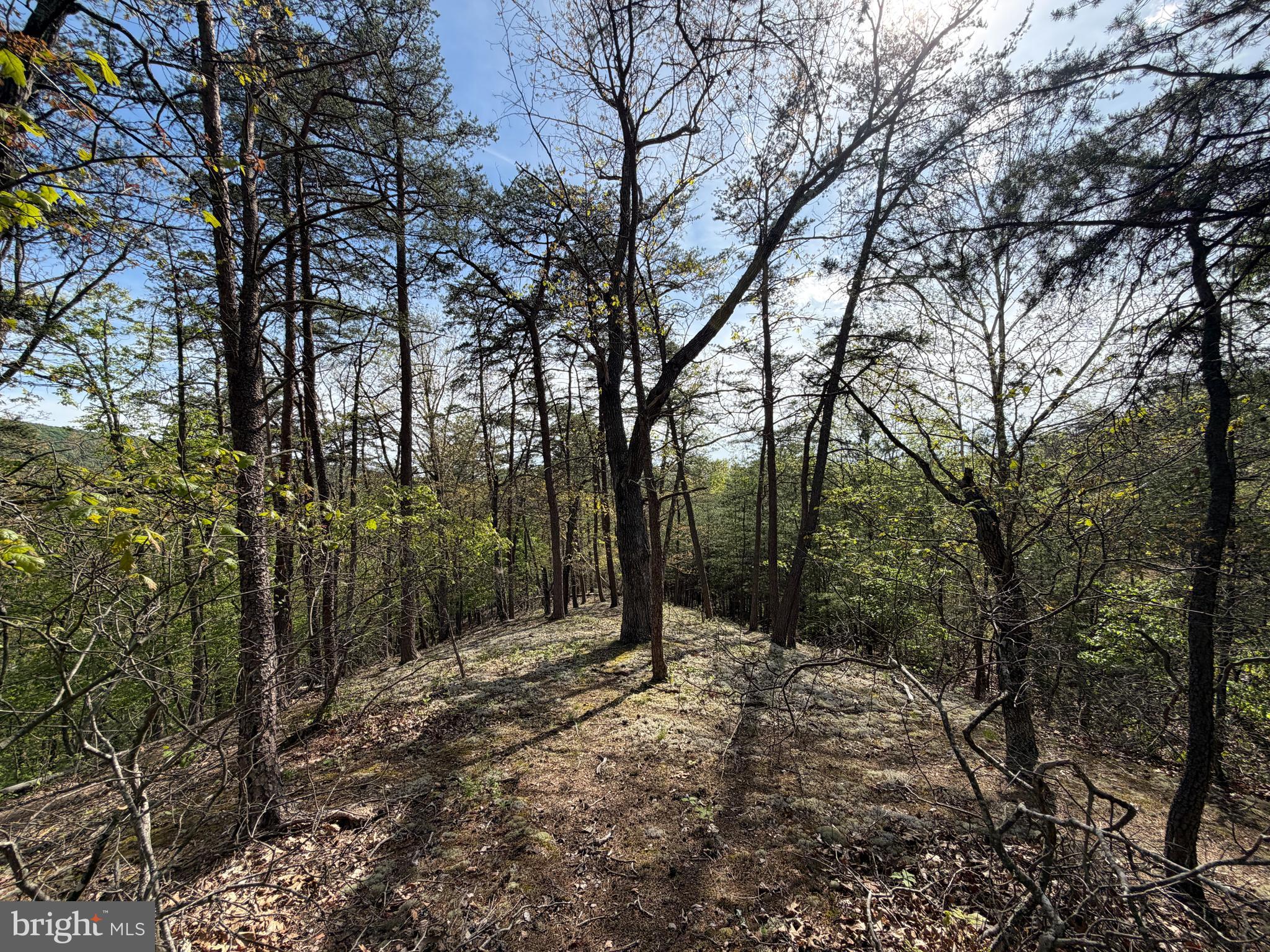 SUGAR RUN - Land