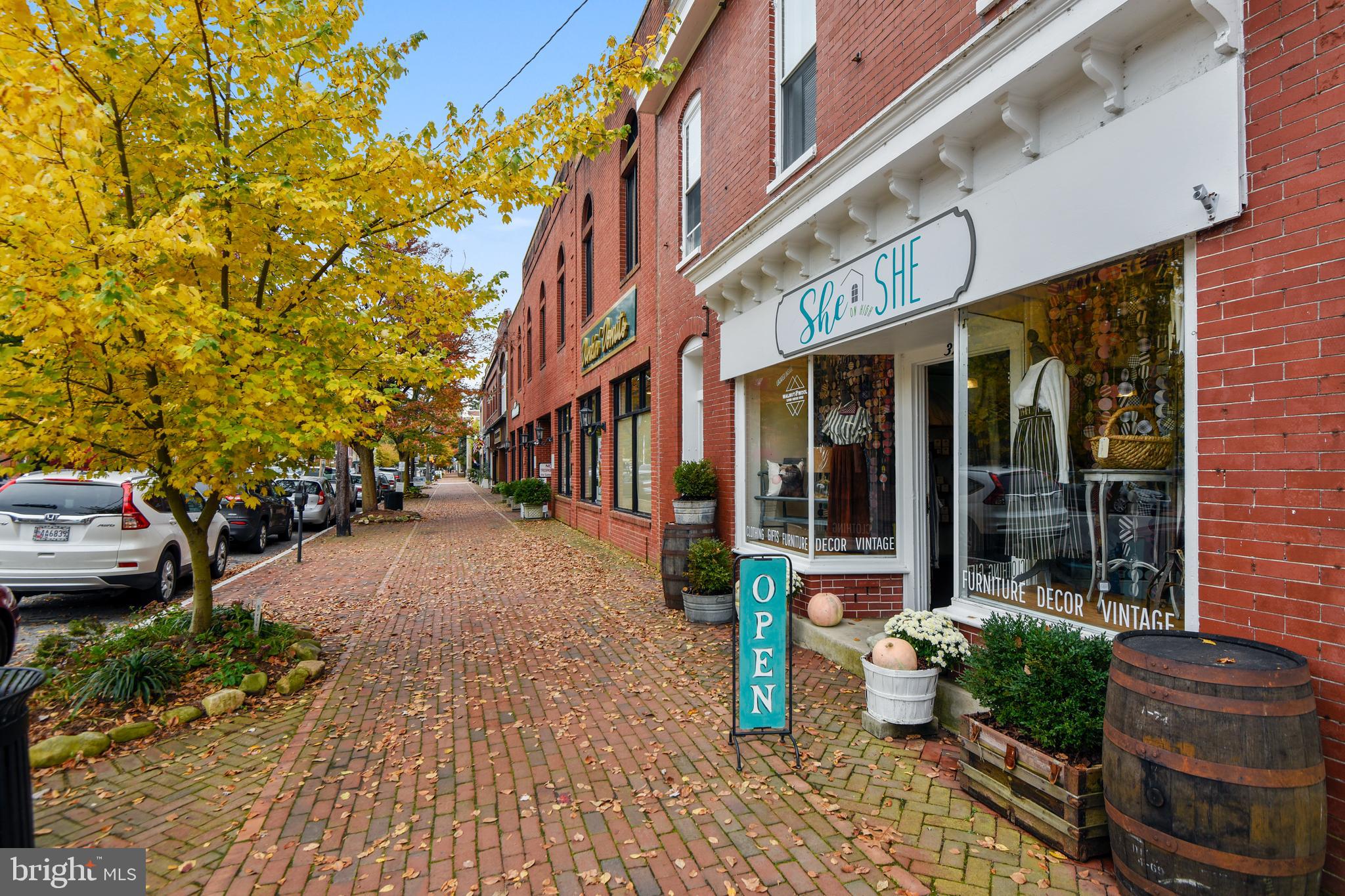 HISTORIC CHESTERTOWN - Residential