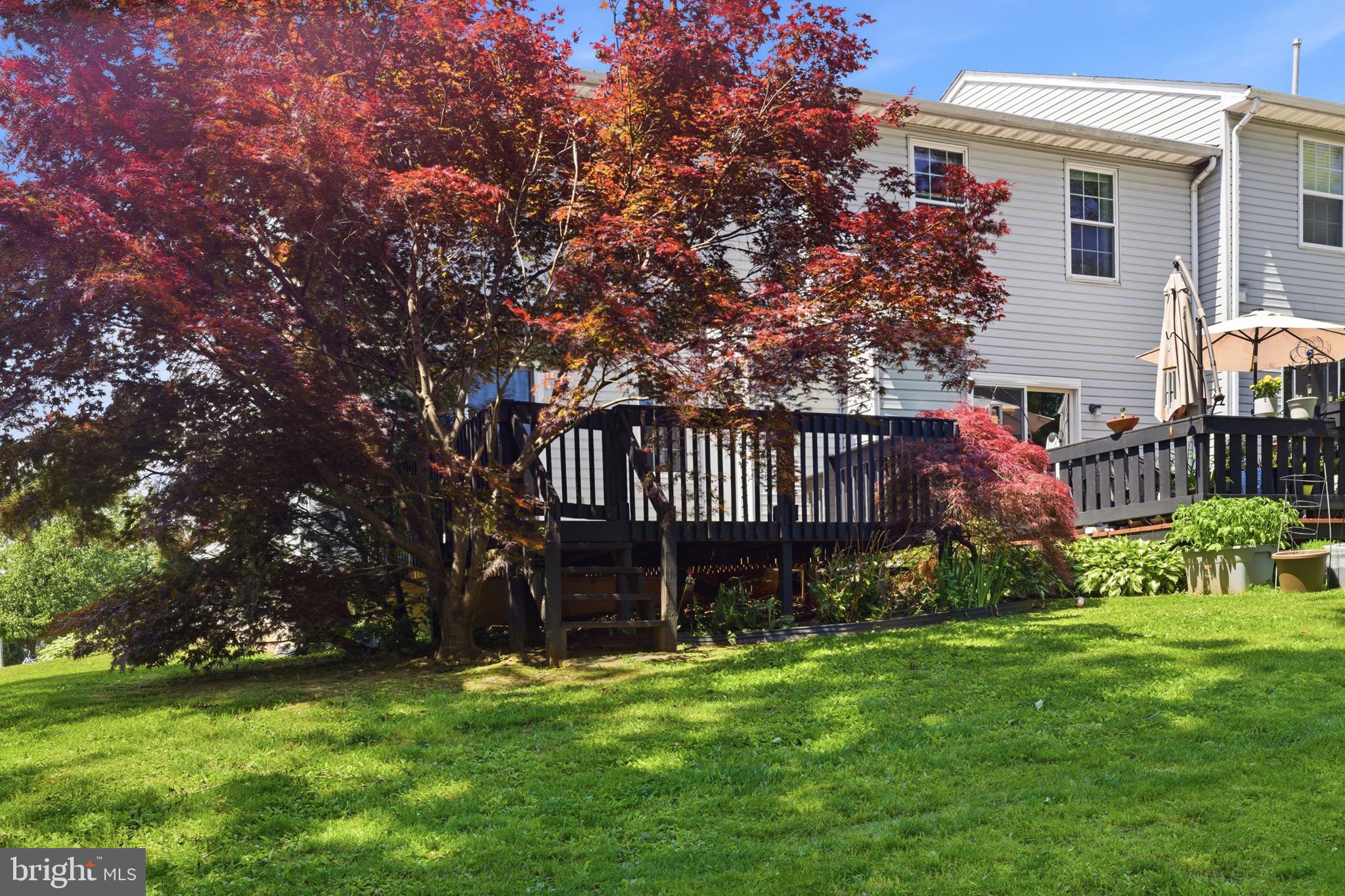 CHERRY TREE KNOLL - Residential
