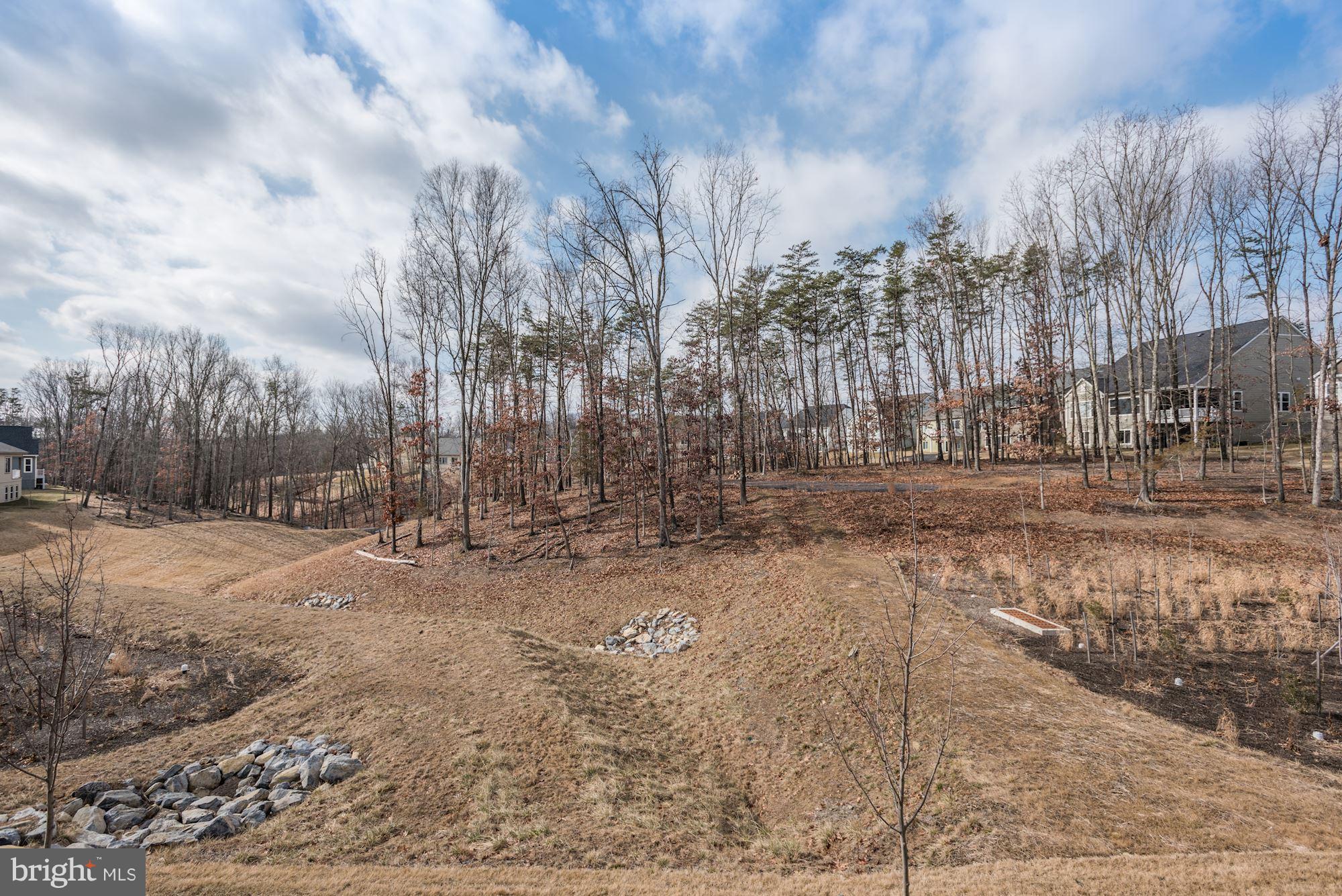 SHENANDOAH - Residential