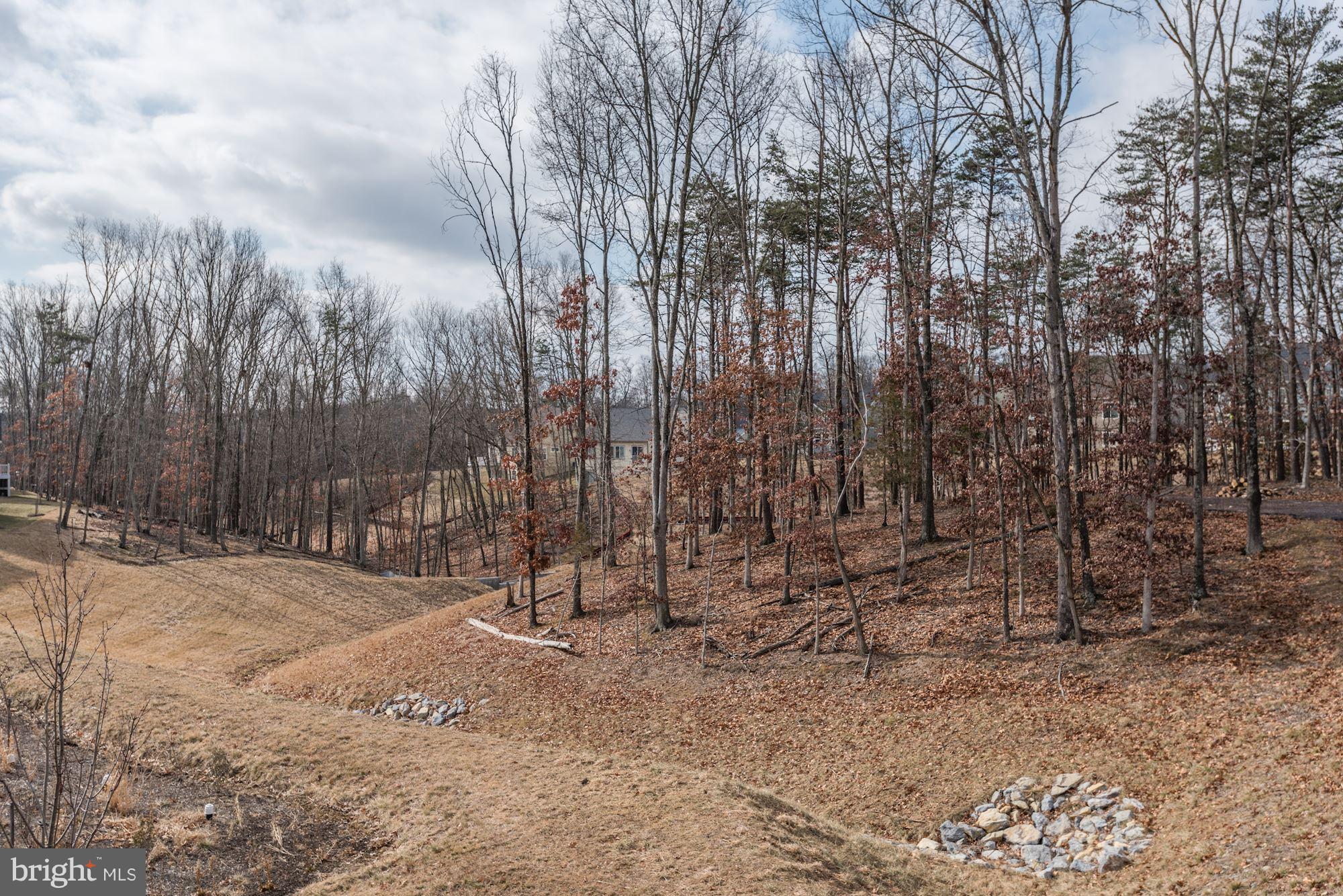 SHENANDOAH - Residential