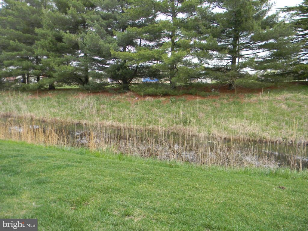 COLONIAL VILLAGE - Residential