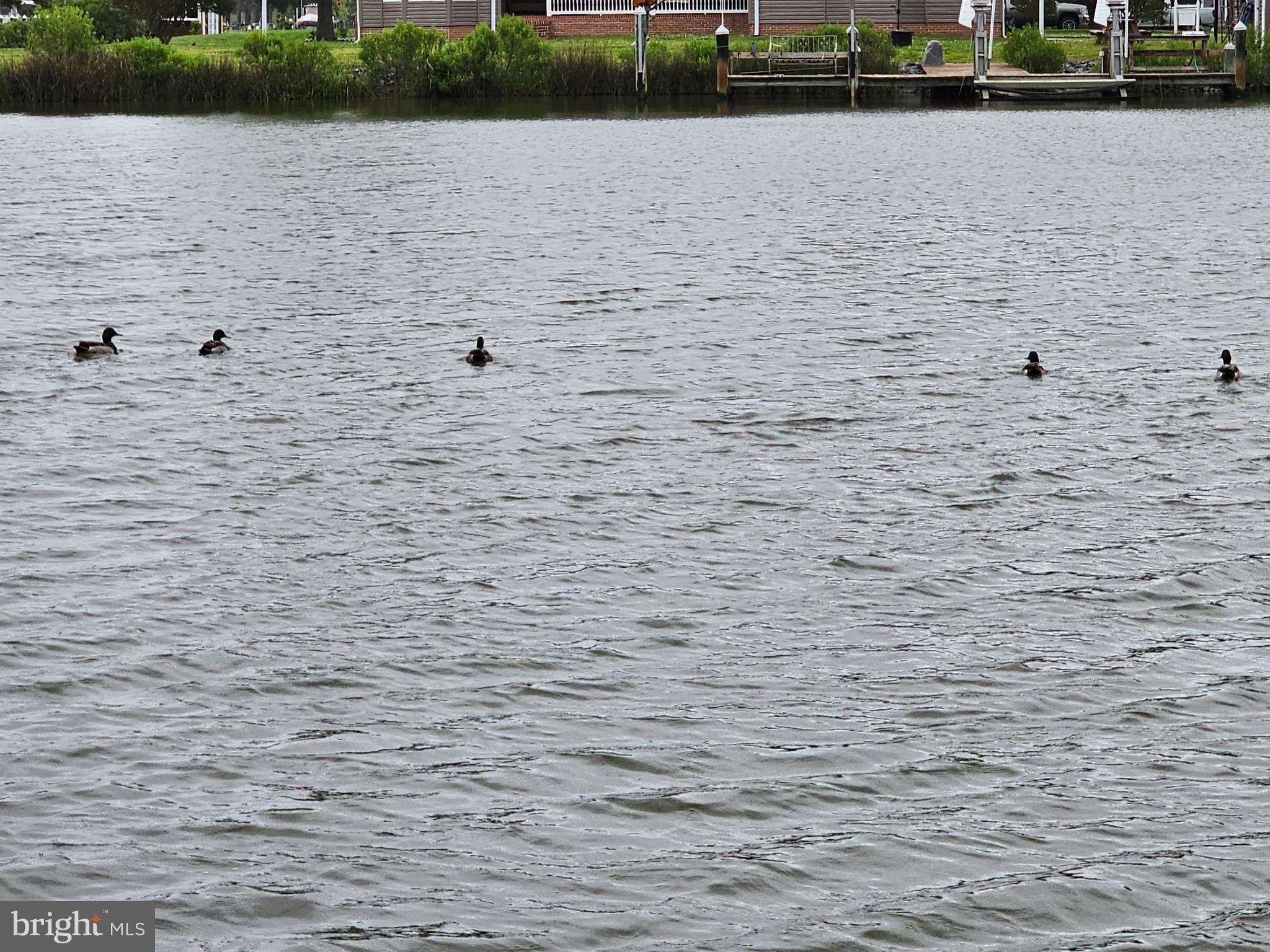 ANNEMESSEX RIDGE - Residential