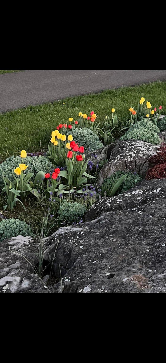 WILLIAMSPORT - Residential