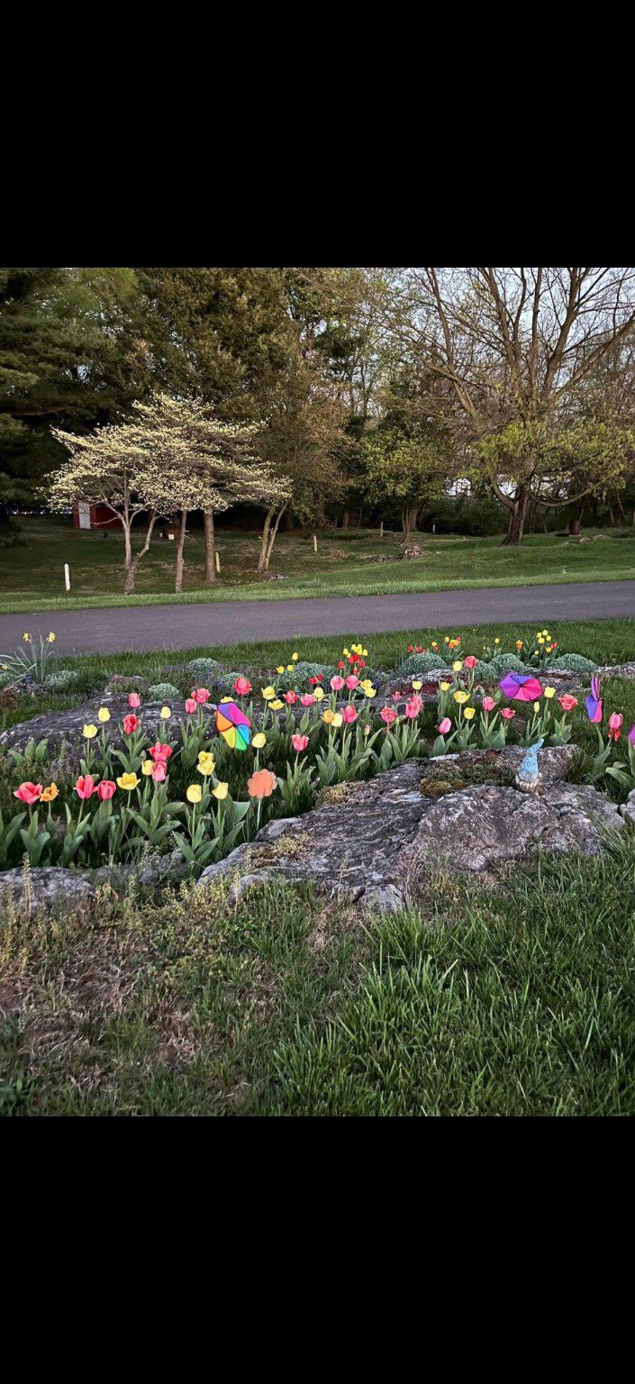 WILLIAMSPORT - Residential