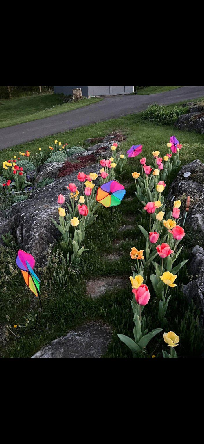 WILLIAMSPORT - Residential