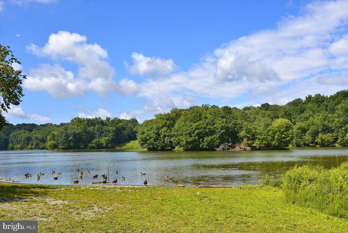 PARK OVERLOOK - Residential