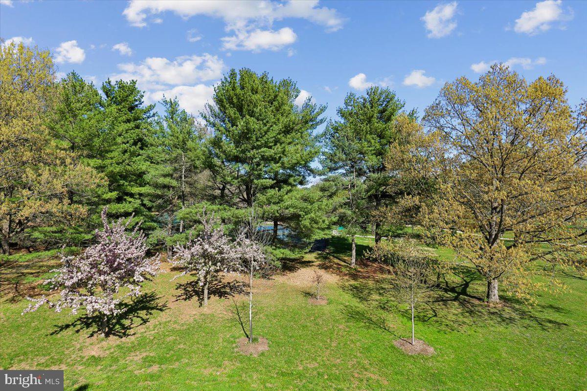 PARK OVERLOOK - Residential