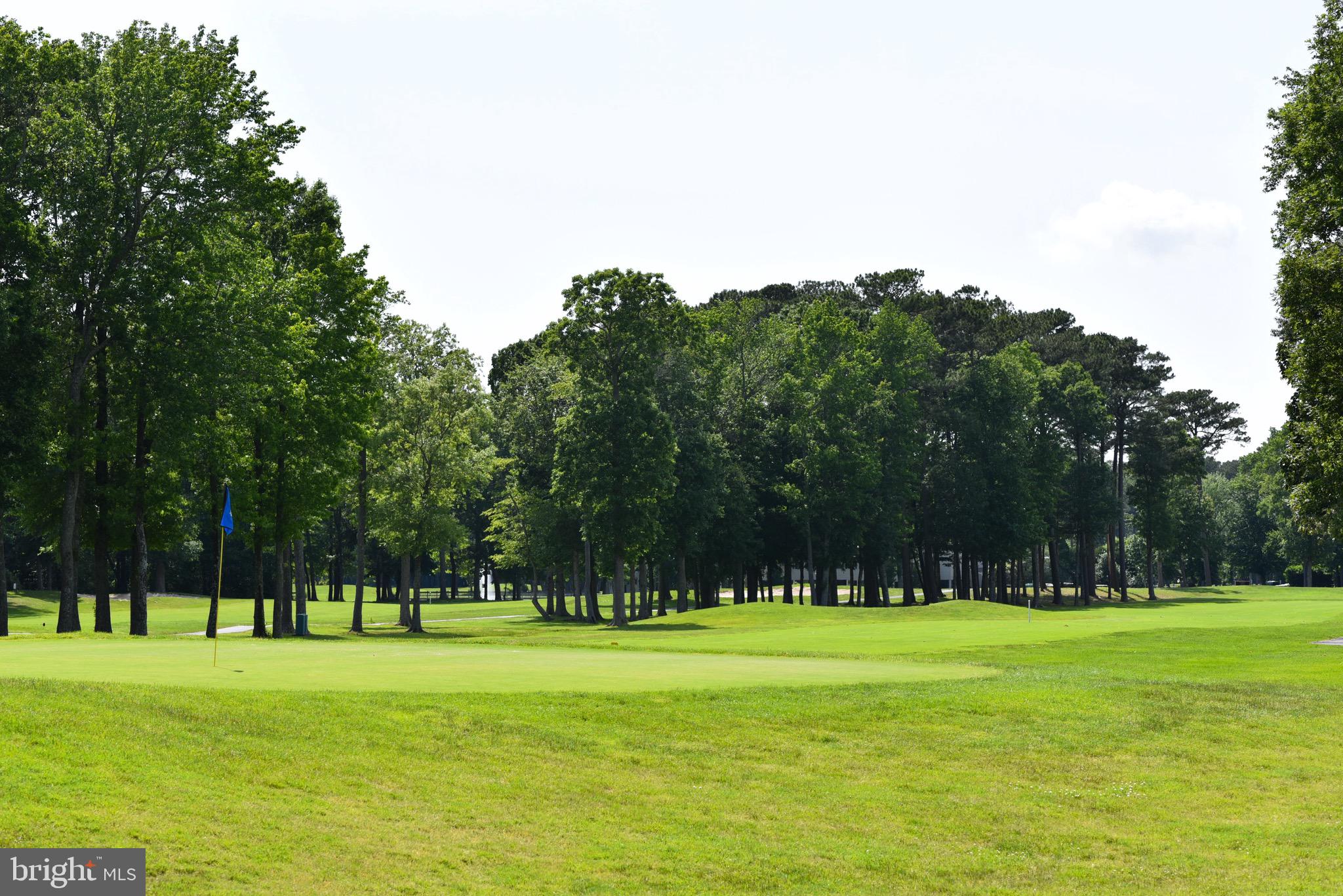 OCEAN PINES - INNERLINKS - Residential