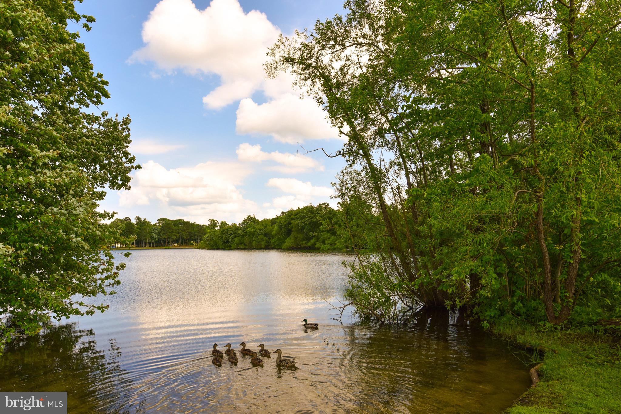 OCEAN PINES - INNERLINKS - Residential