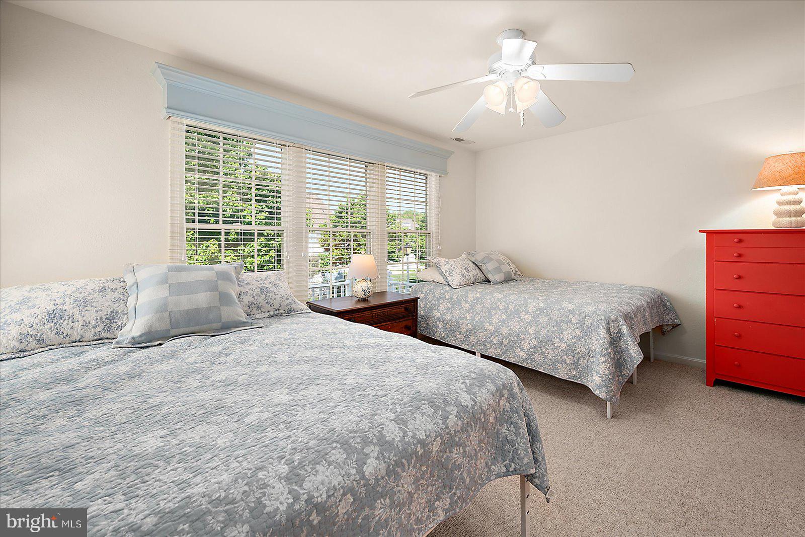 BEAR TRAP - Residential