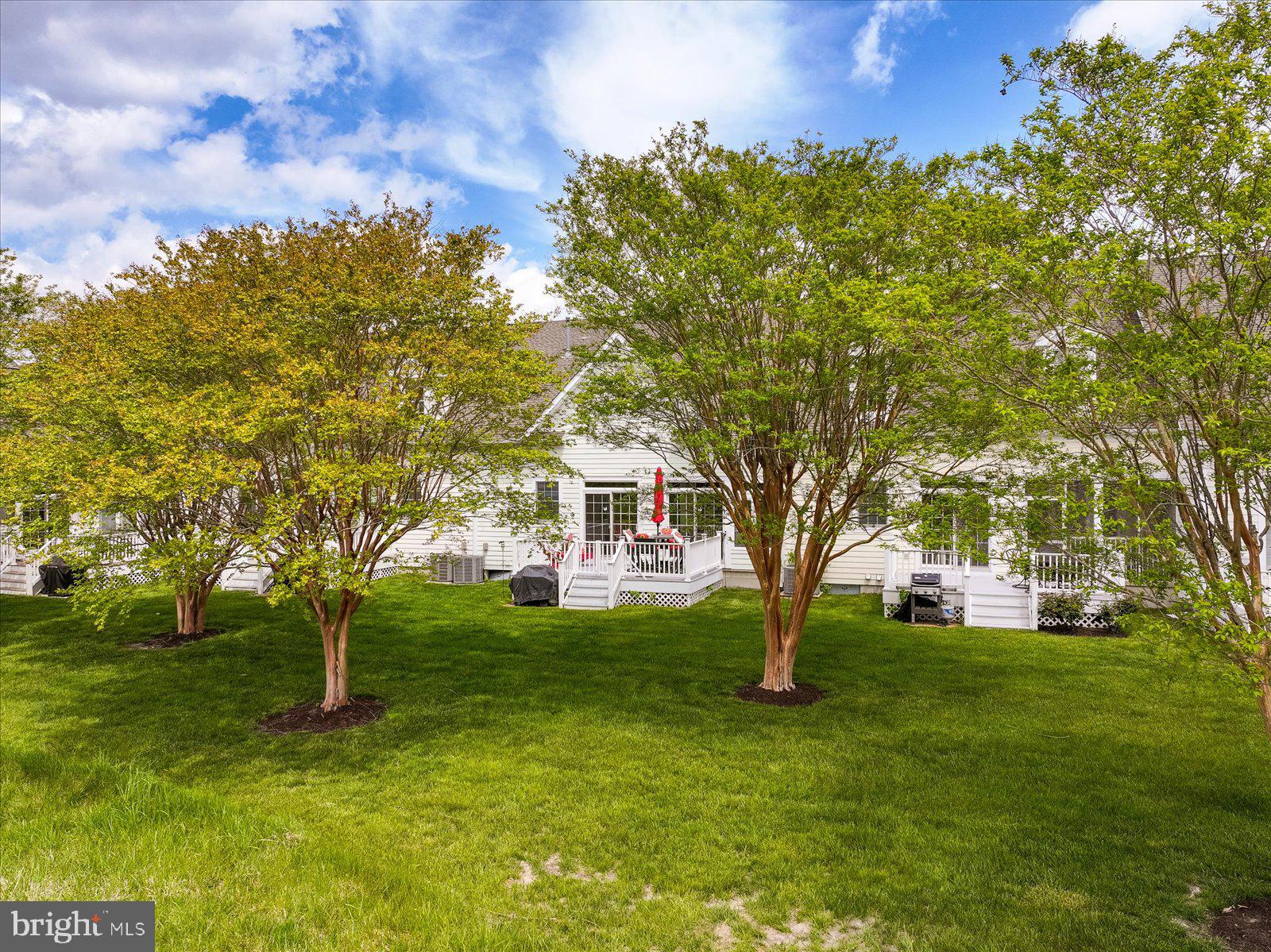 BEAR TRAP - Residential