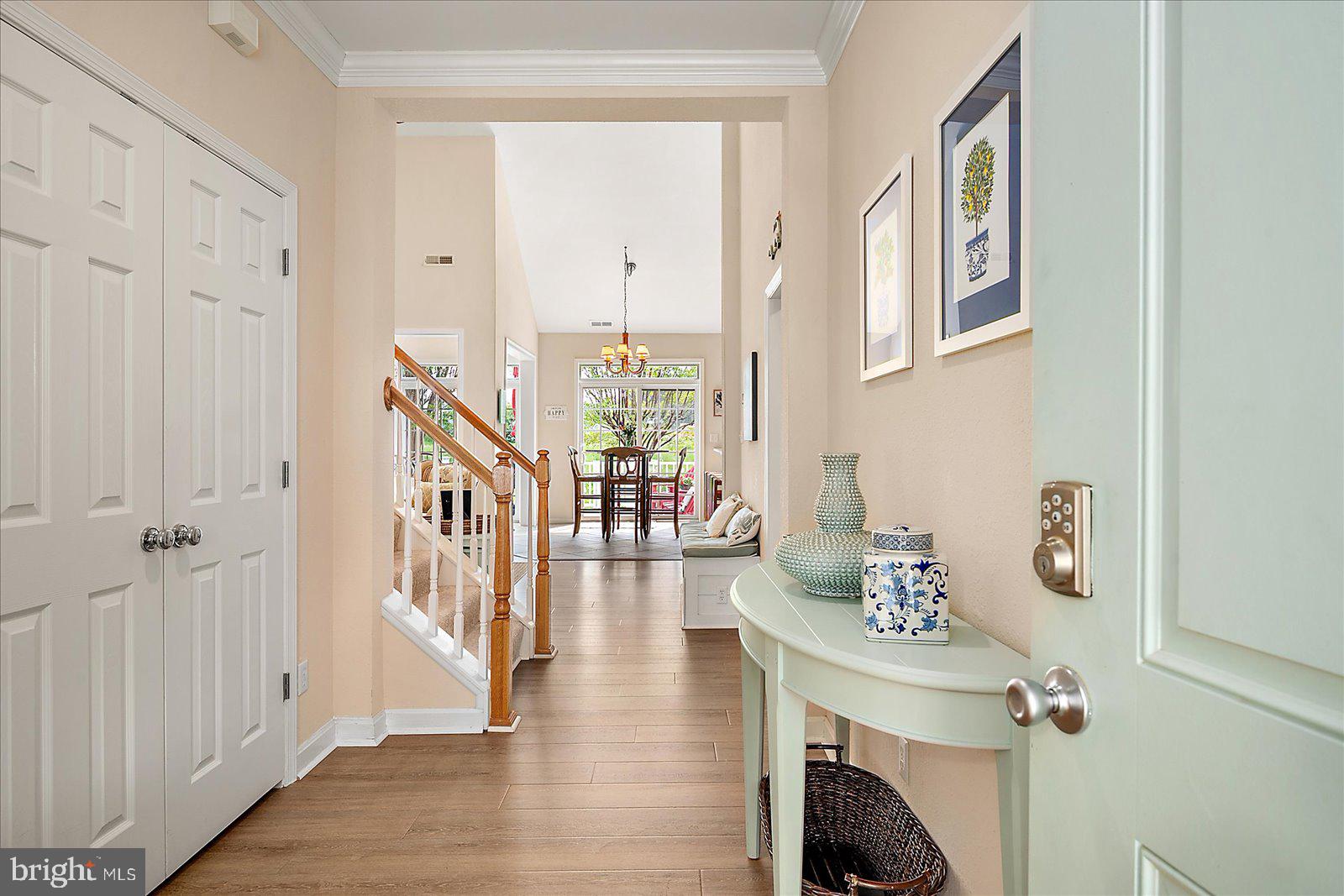 BEAR TRAP - Residential