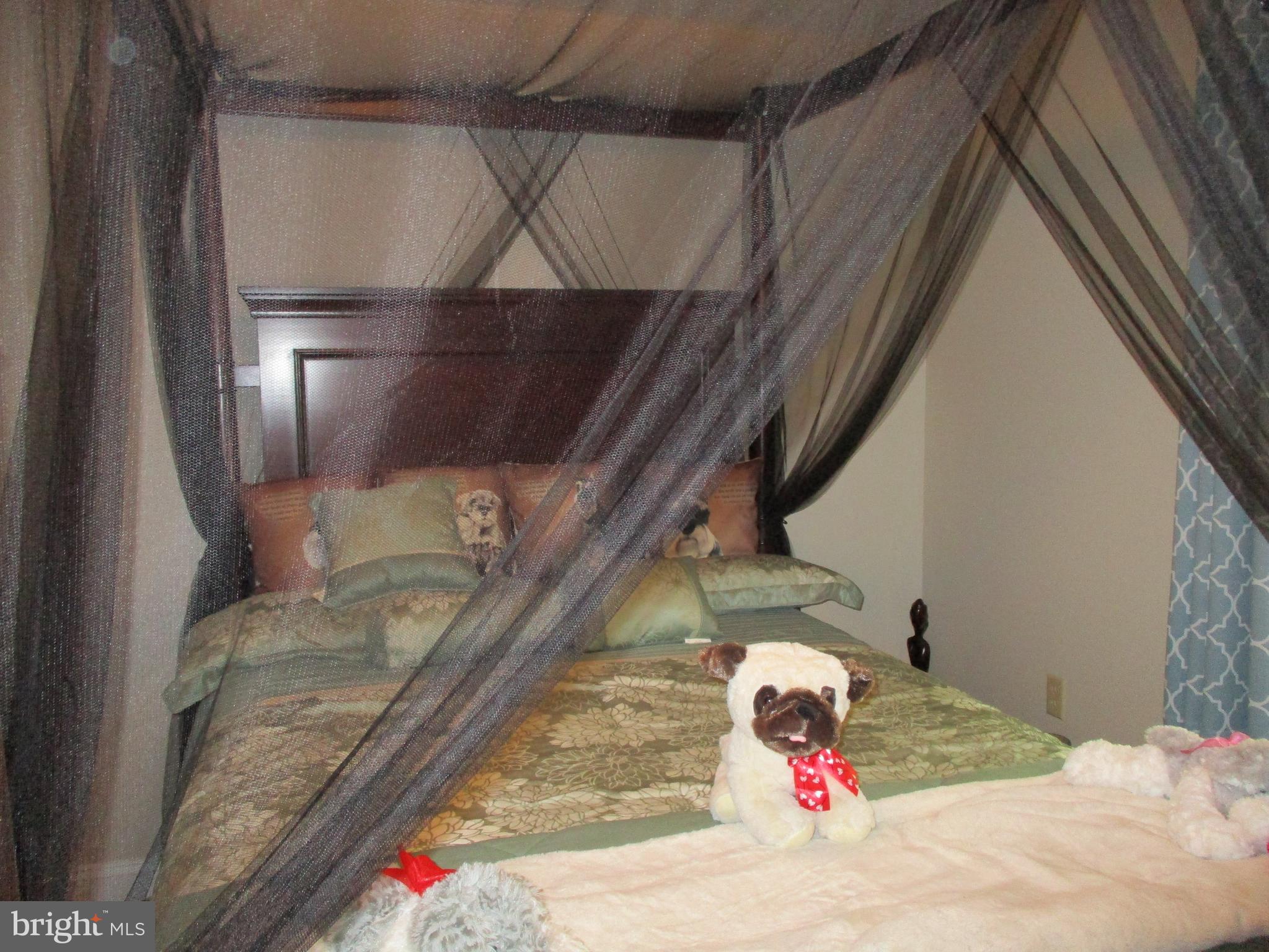 ELK BRANCH - Residential