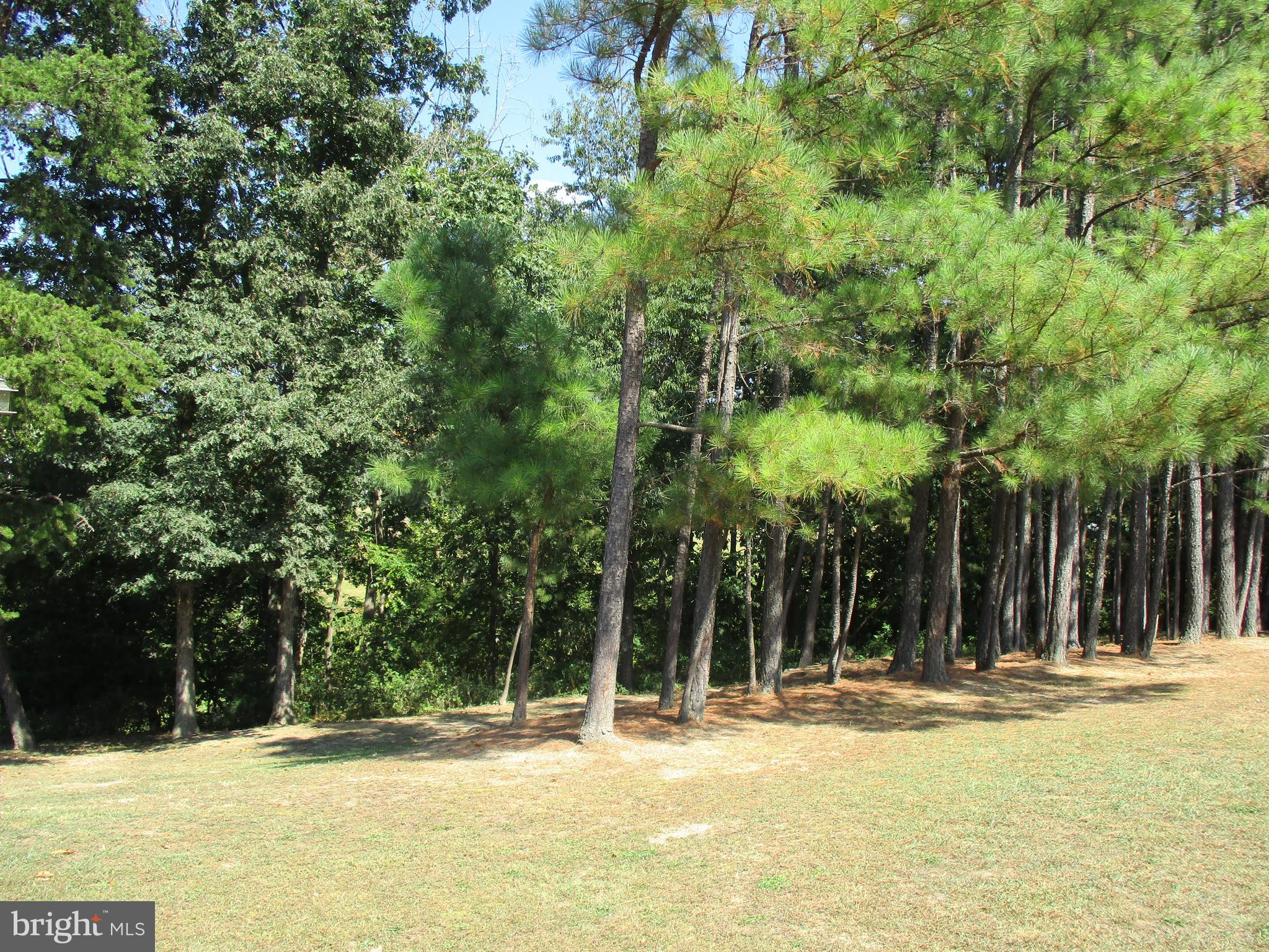 ELK BRANCH - Residential