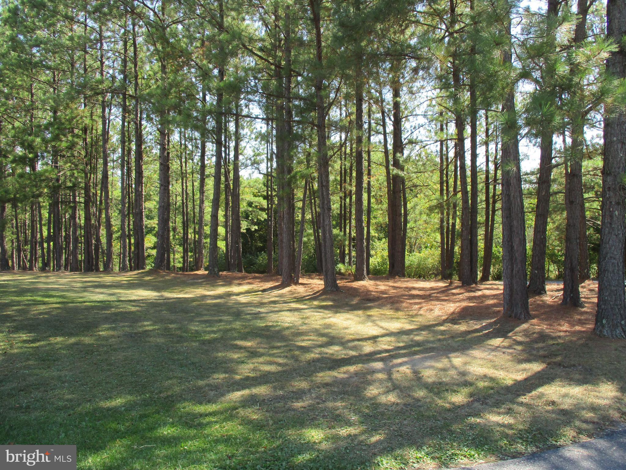 ELK BRANCH - Residential