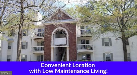 5700 SHADWELL COURT 77 ALEXANDRIA VA 22309