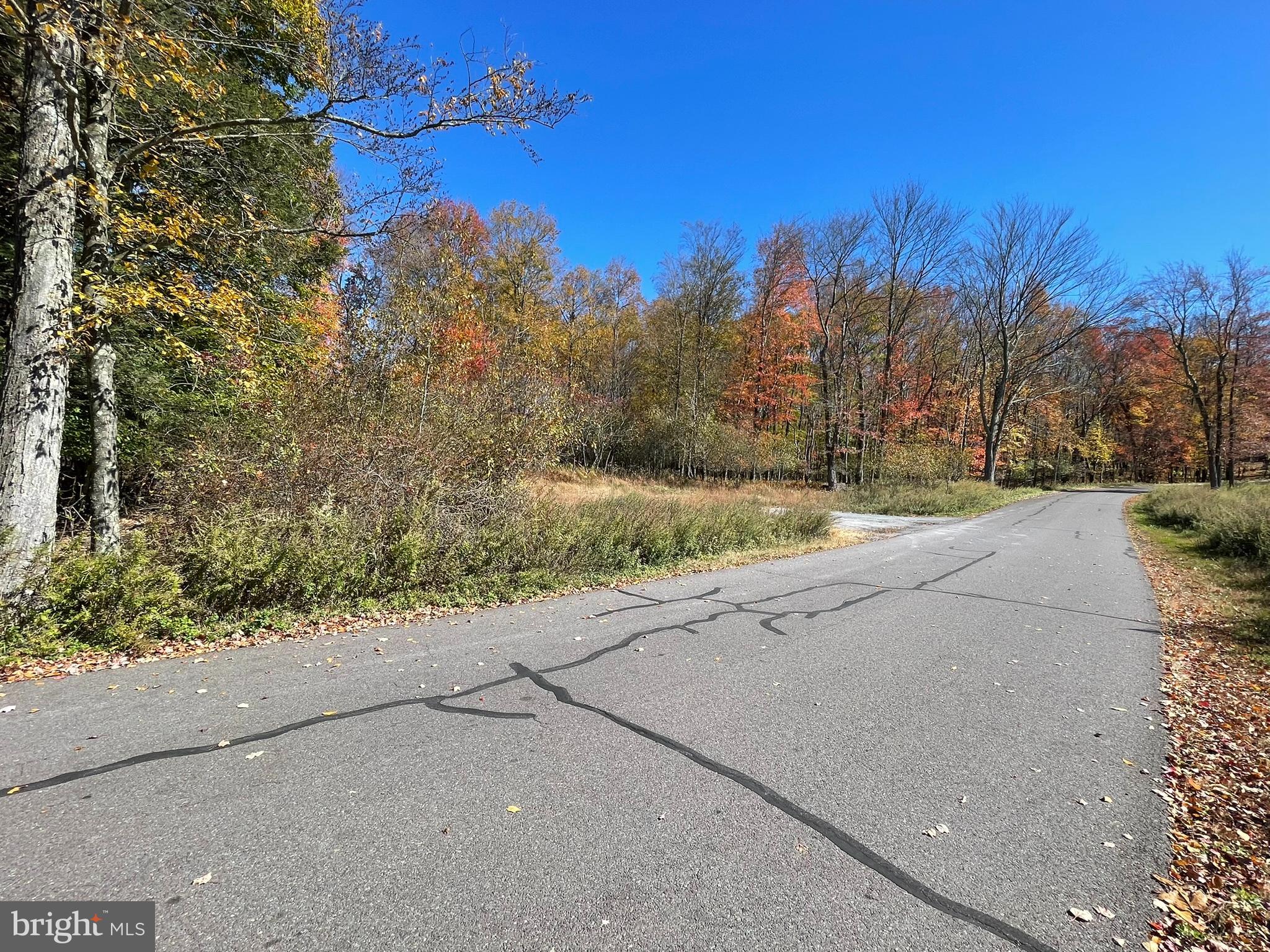 W WOODHAVEN DRIVE
