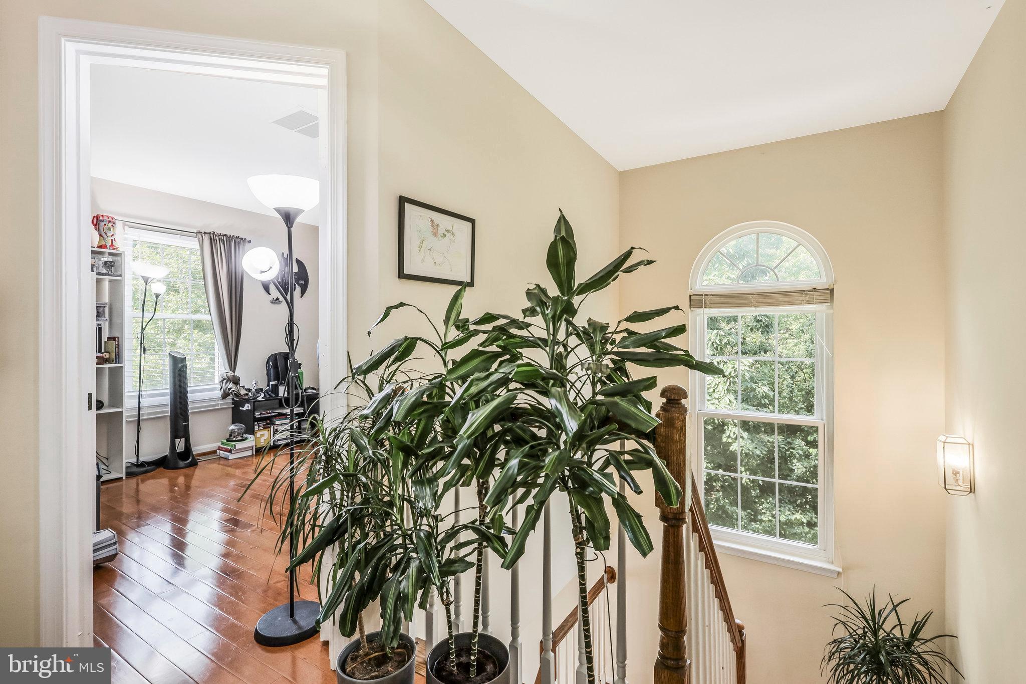 JAPONICA - Residential Lease