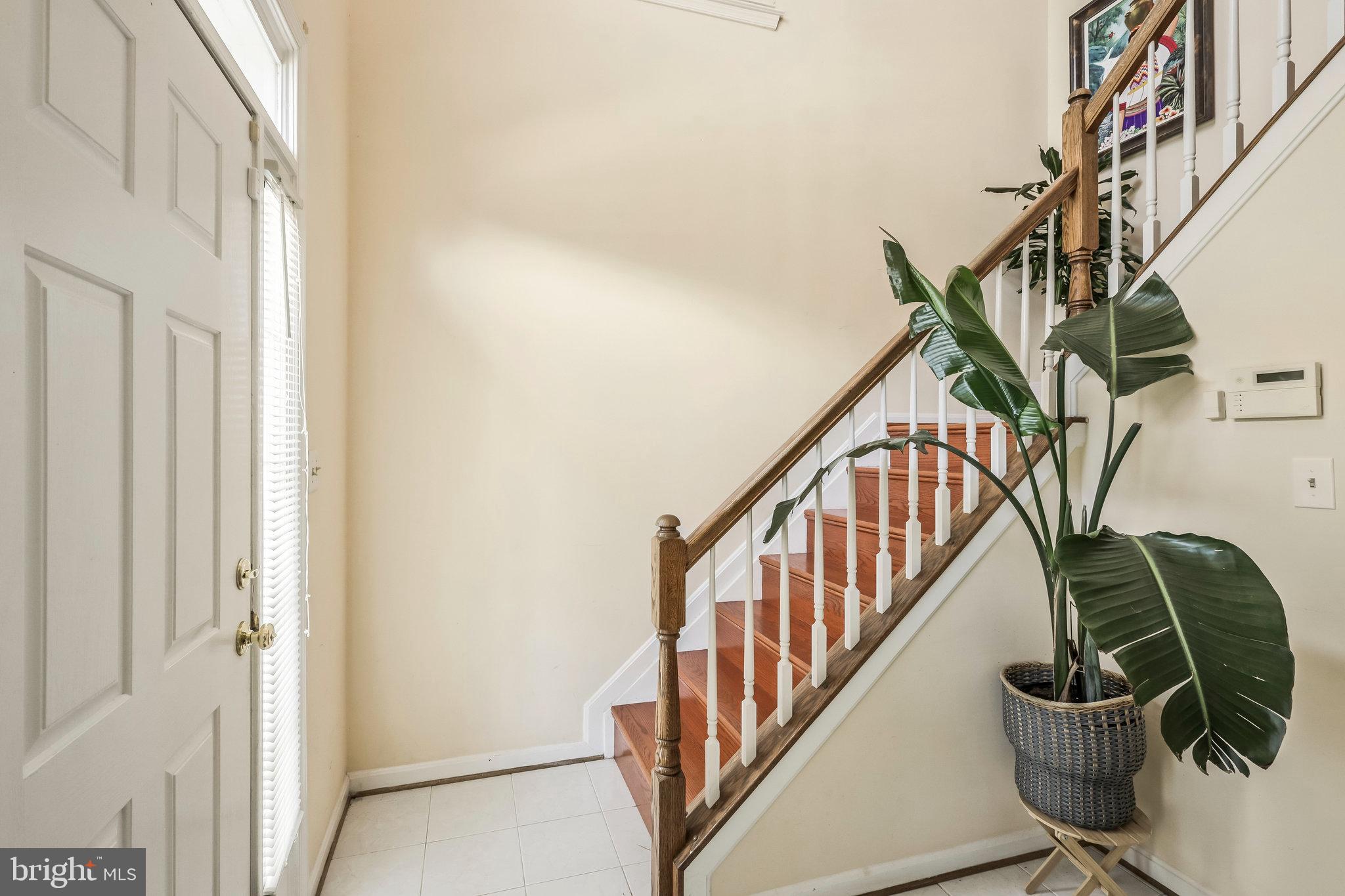 JAPONICA - Residential Lease