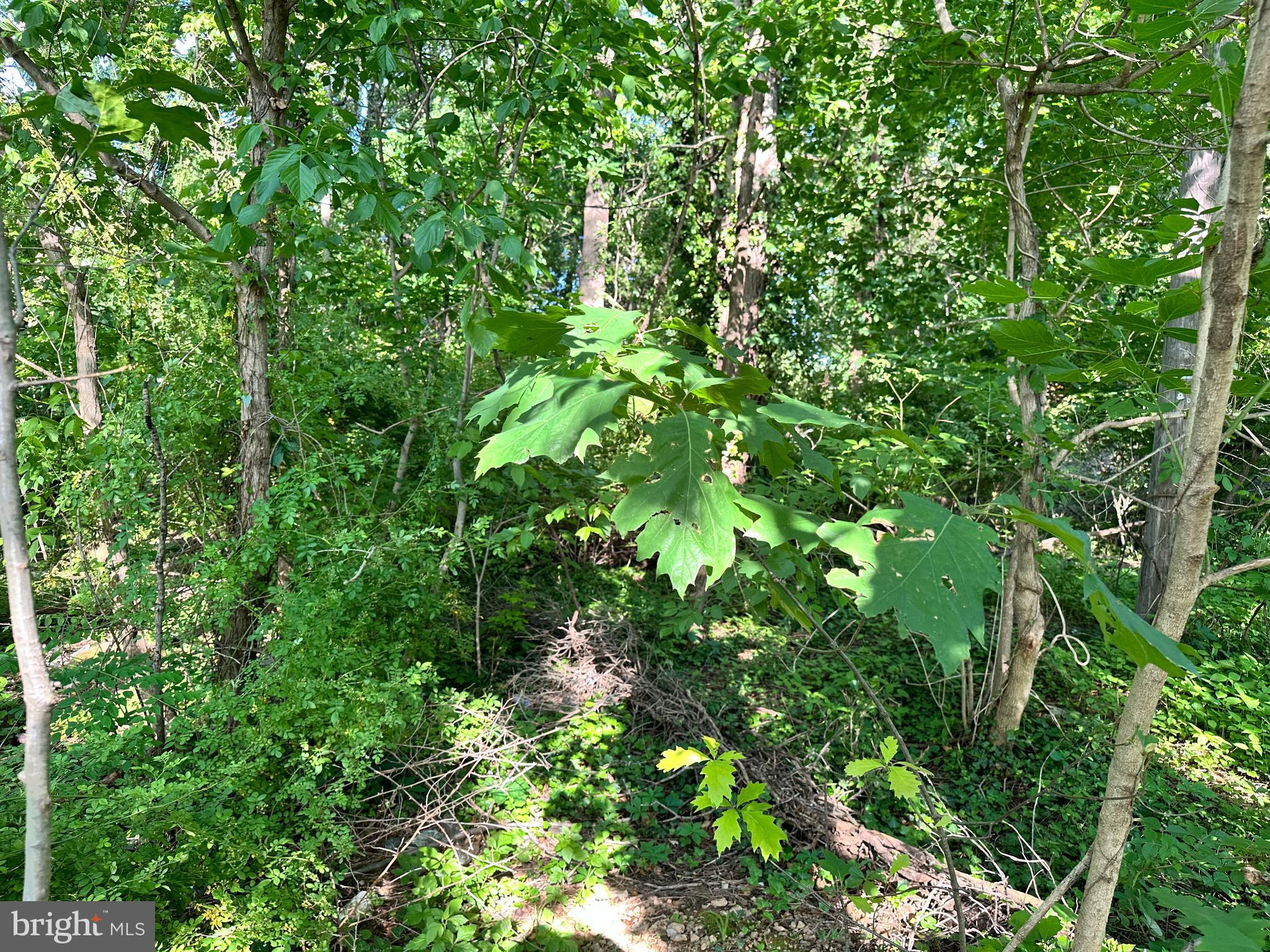 BRYAN AVENUE LOT 82