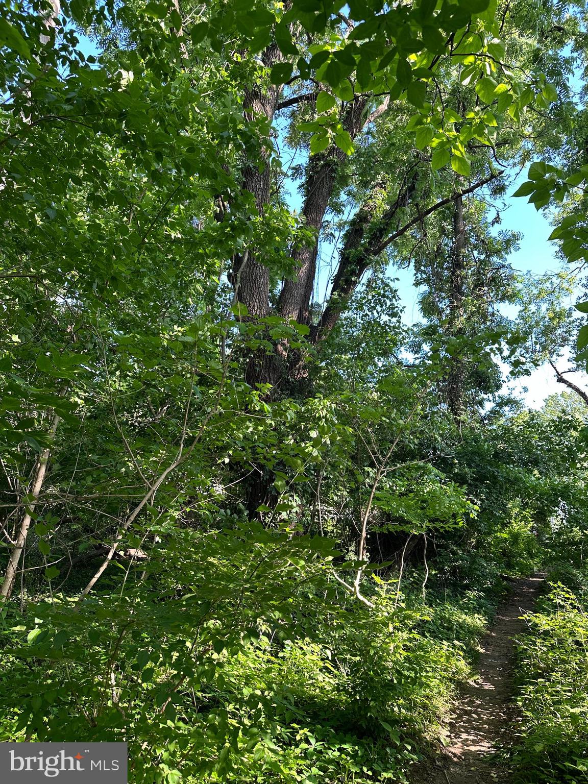 BRYAN AVENUE LOT 82