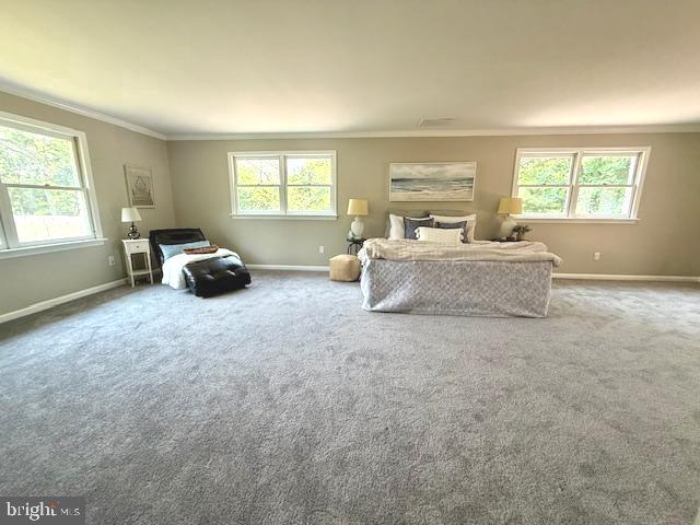 CLOHAN - Residential