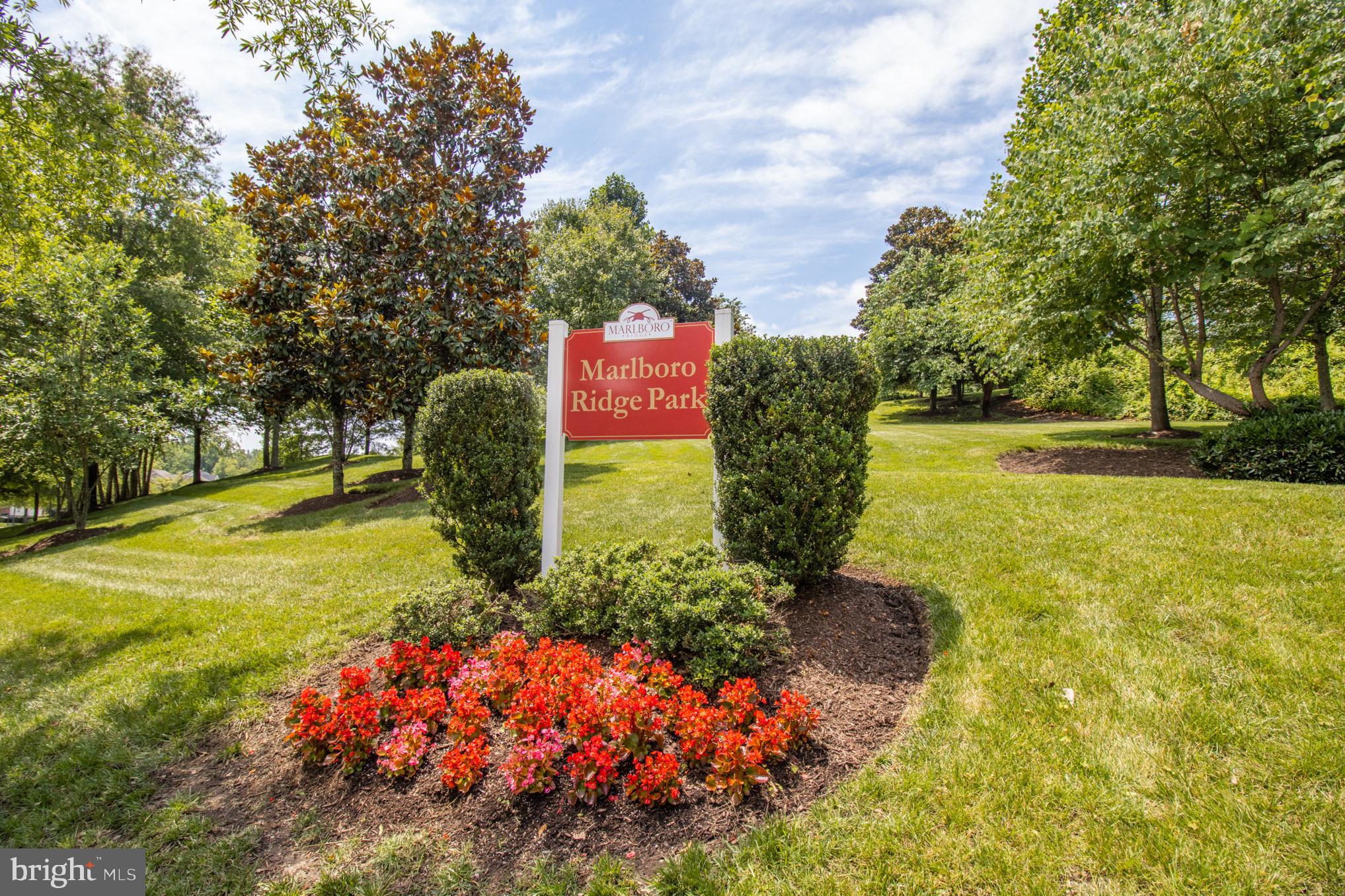 MARLBORO RIDGE - Residential