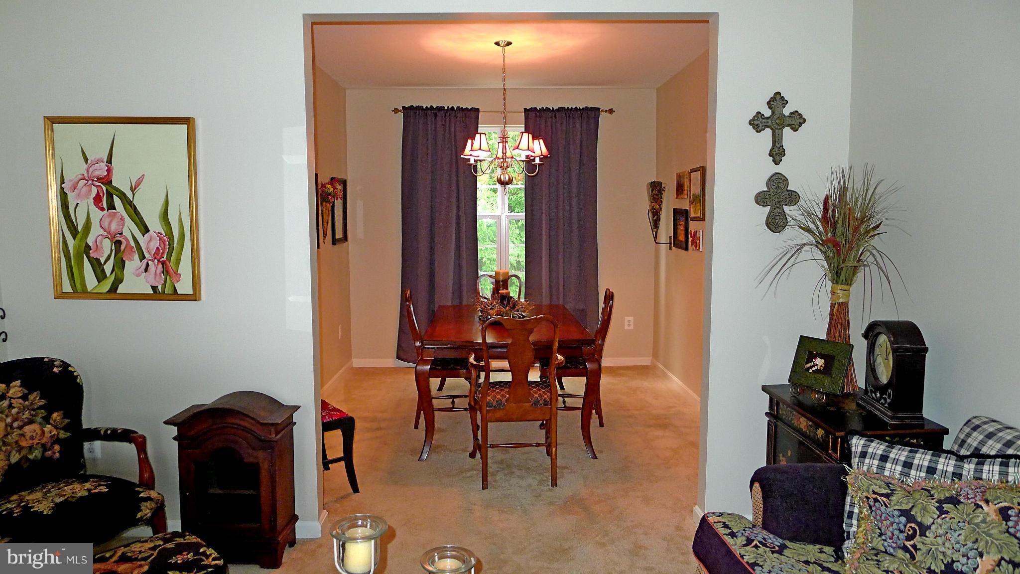 VILLAGE OF WASHINGTON TRAIL - Residential