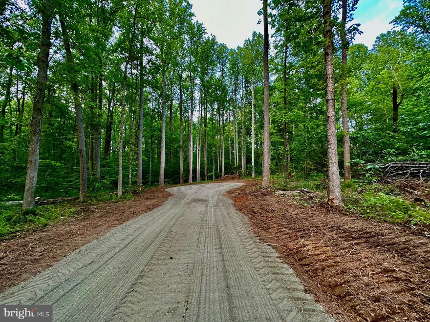 Ready to build! Beautiful 16.94 acre wooded retreat with lovely flowing stream, only 10 minutes from the town of Culpeper and 40 minutes to Charlottesville.  Property offers two separate entrances. One entrance off of James City Road and another private entrance off of Hoover Rd.- Lots of road frontage, only 1.2 miles from Rt. 29. Three bedroom conventional gravity septic construction permit on record with county. No HOA, no subdivision! No covenants or restrictions.