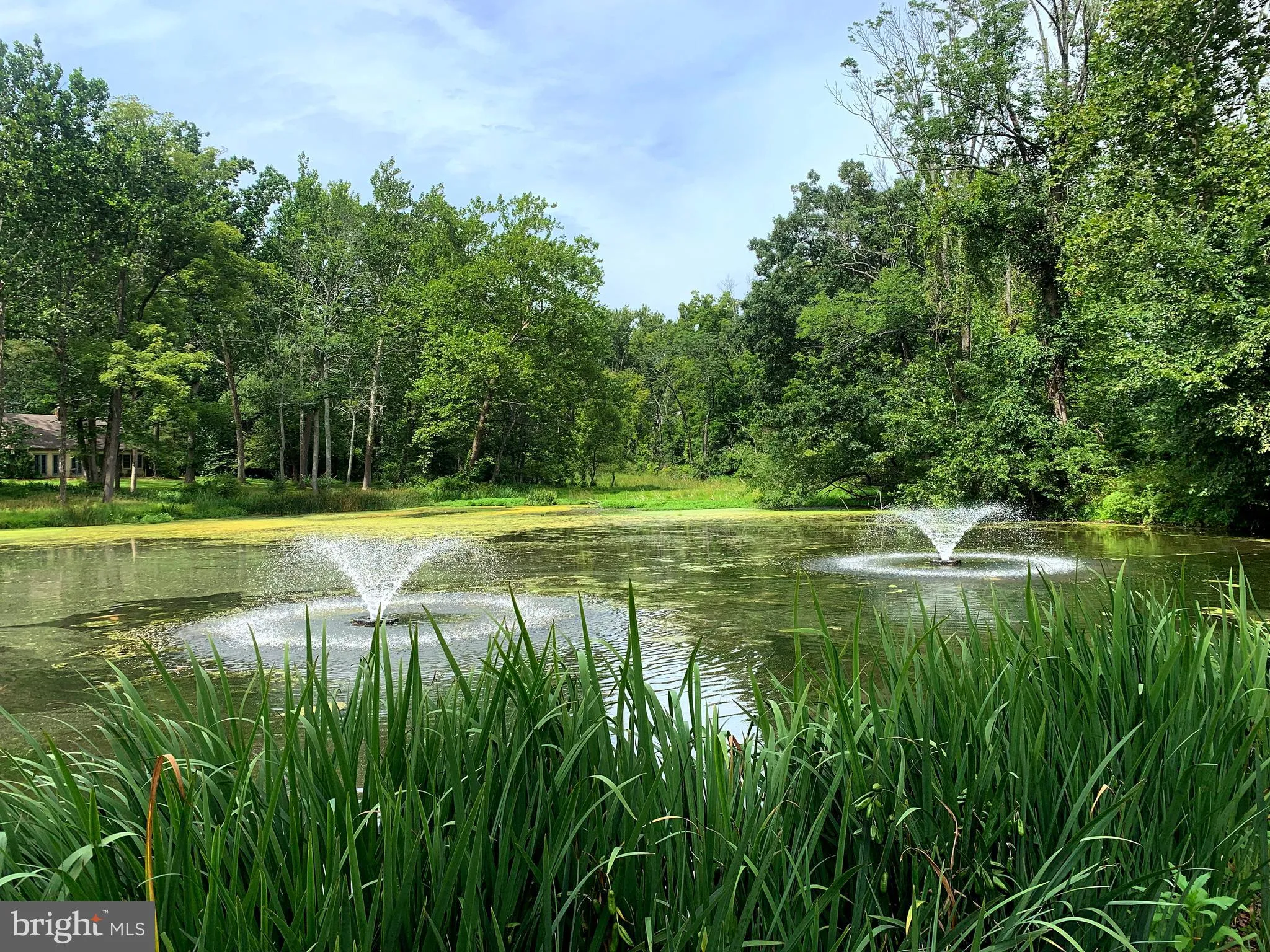 New Hope, Pennsylvania 18938, United States, ,Commercial,Active,112826