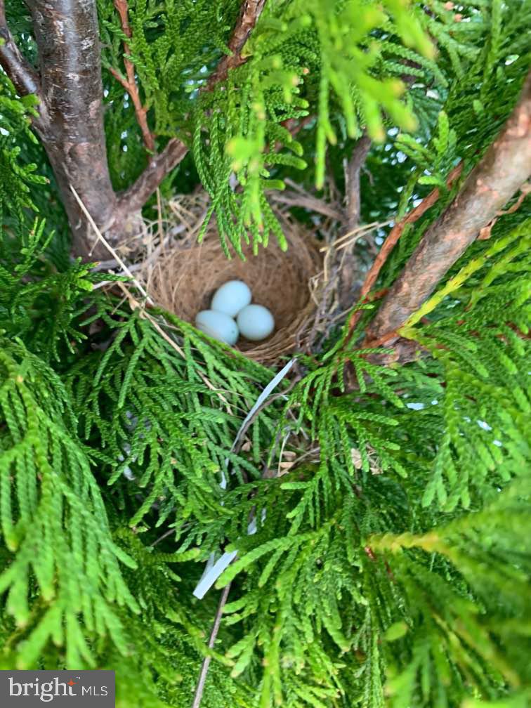 SHELDON CROSSING - Residential