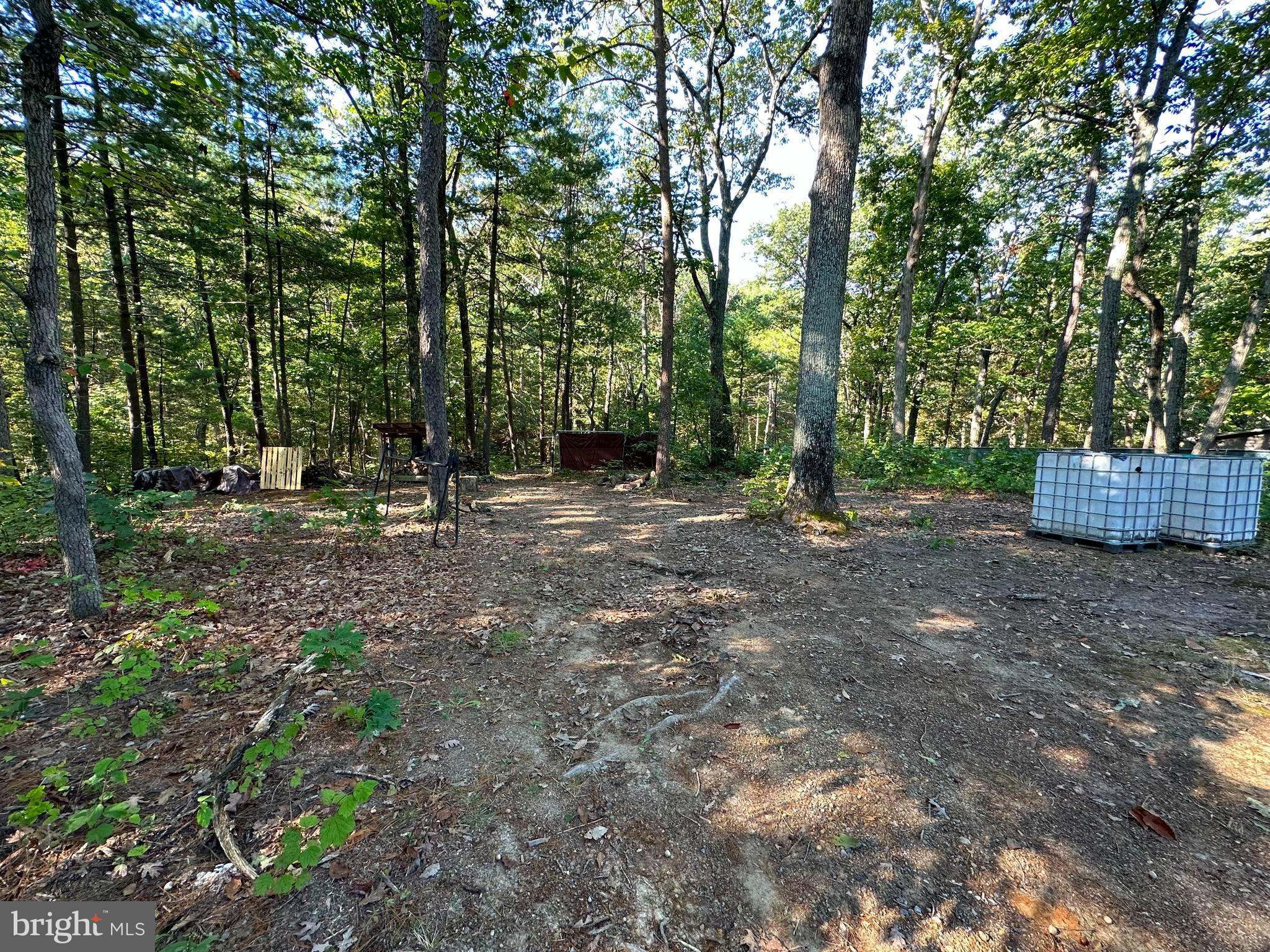 GLENWOOD FOREST - Residential