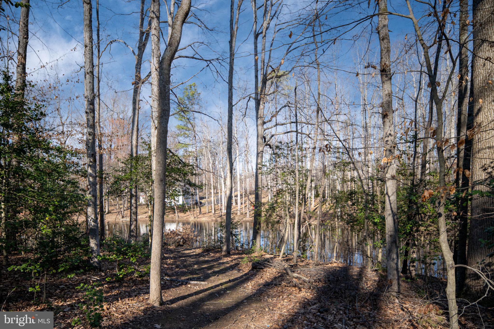 LAKE LAND OR - Residential