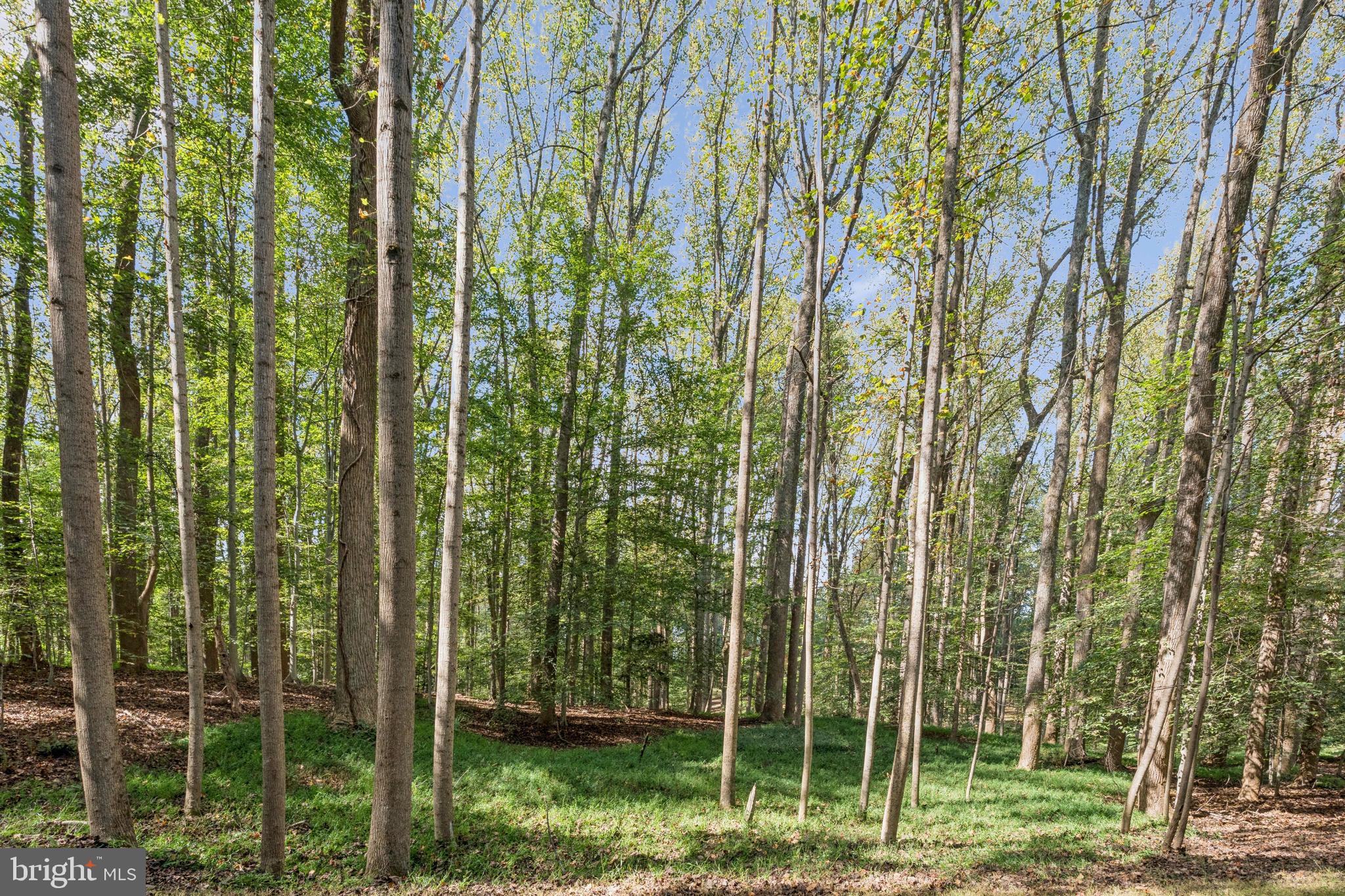 258 JEFFERY LANE