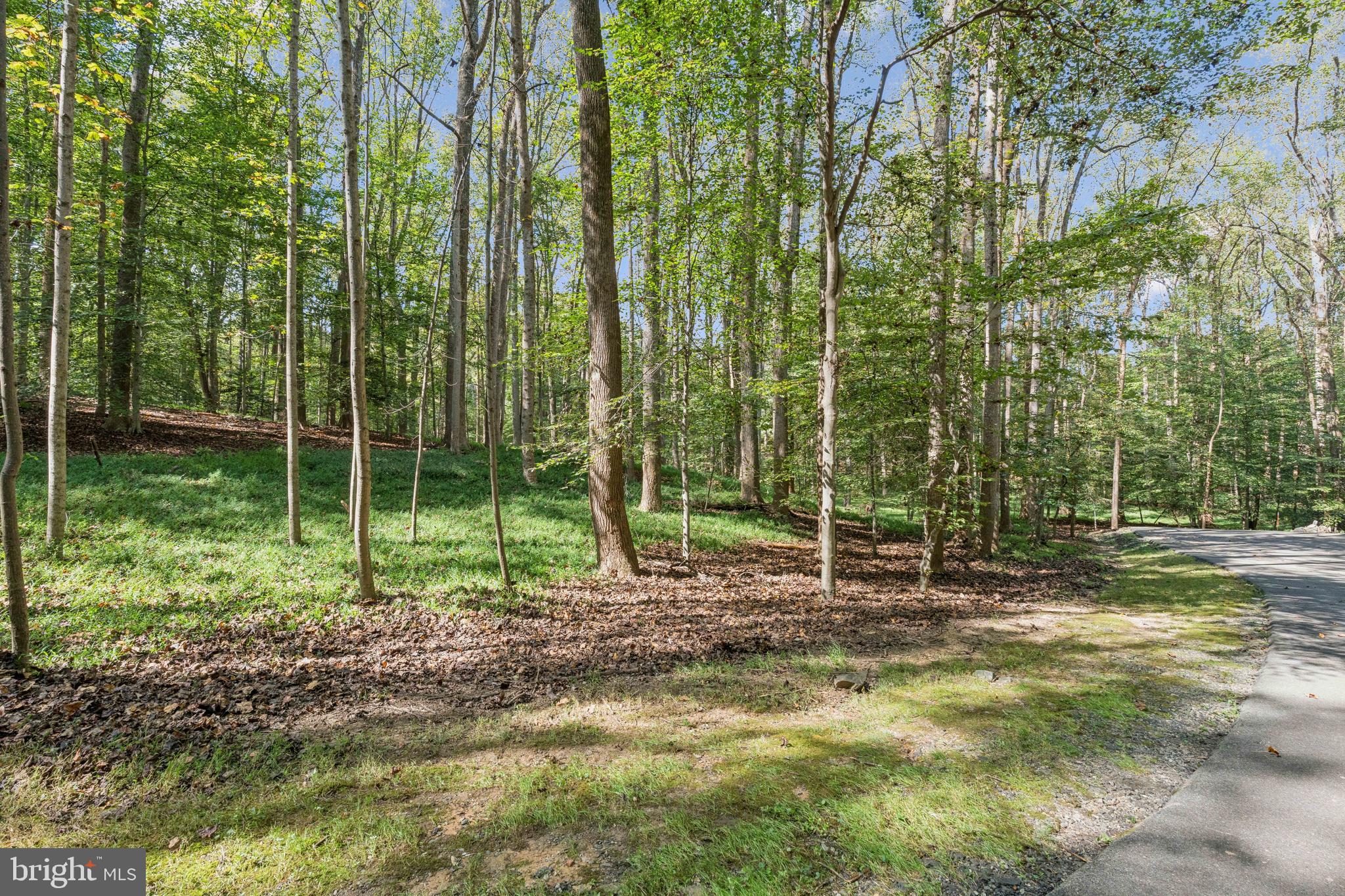 258 JEFFERY LANE