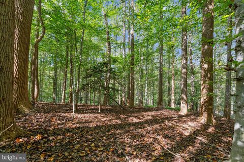 Vacant Land For Sale - 258 Jeffery Lane<br/> GREAT FALLS, VA 22066