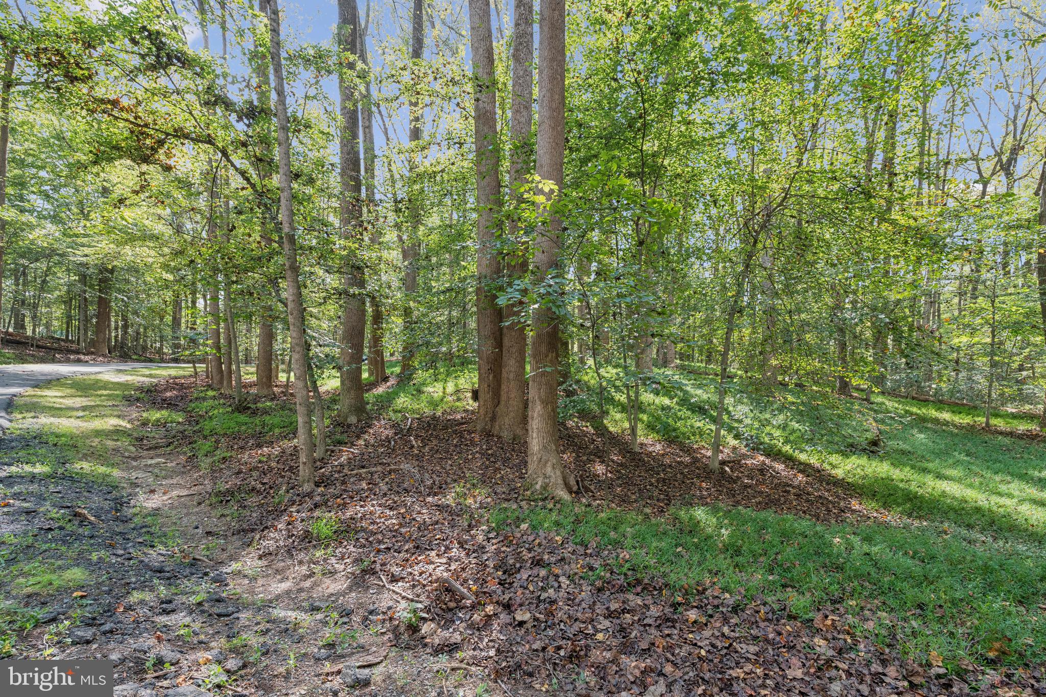 258 JEFFERY LANE