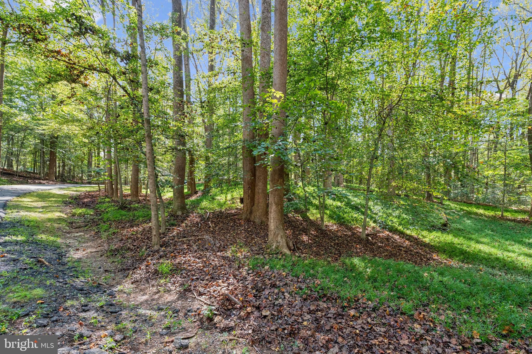 258 JEFFERY LANE