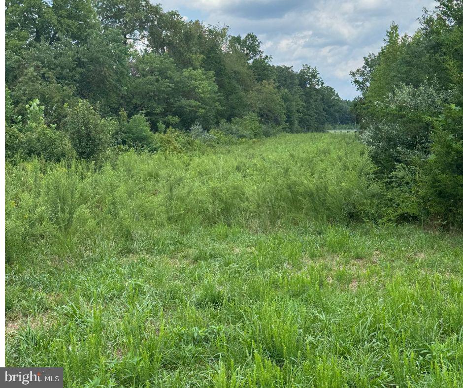 Super Nice Home site featuring 4.389 Wooded Acres lightly cleared in areas for walking, Lot corners and property lines are clearly marked and Drain field area as well.. Copy of all you need is in Documents for your review. There is a cleared 50 ft Easement from Post Oak Road leading back to parcel on Left rear corner, Current address of parcel next door is 13713 Post Oak Rd for your GPS directions. There is no HOA or recorded covenants Taxes and assessed value are estimated due to recent recording of parcel. any questions reach out to me and also will give you showing instructions as well.. This is a very nice wooded homesite and flat to moderate slopes. Nice home sites on property. Home site offers lots of privacy and a super nice rectangular shape. Seller of this site is owner of the adjacent 40 acres and is going to building their retirement home . there is a gate a short distance past easement to land where you can pull off to walk over to the parcel. also you can pull into driveway at address shown above and park.
Reach out to me prior to showing..