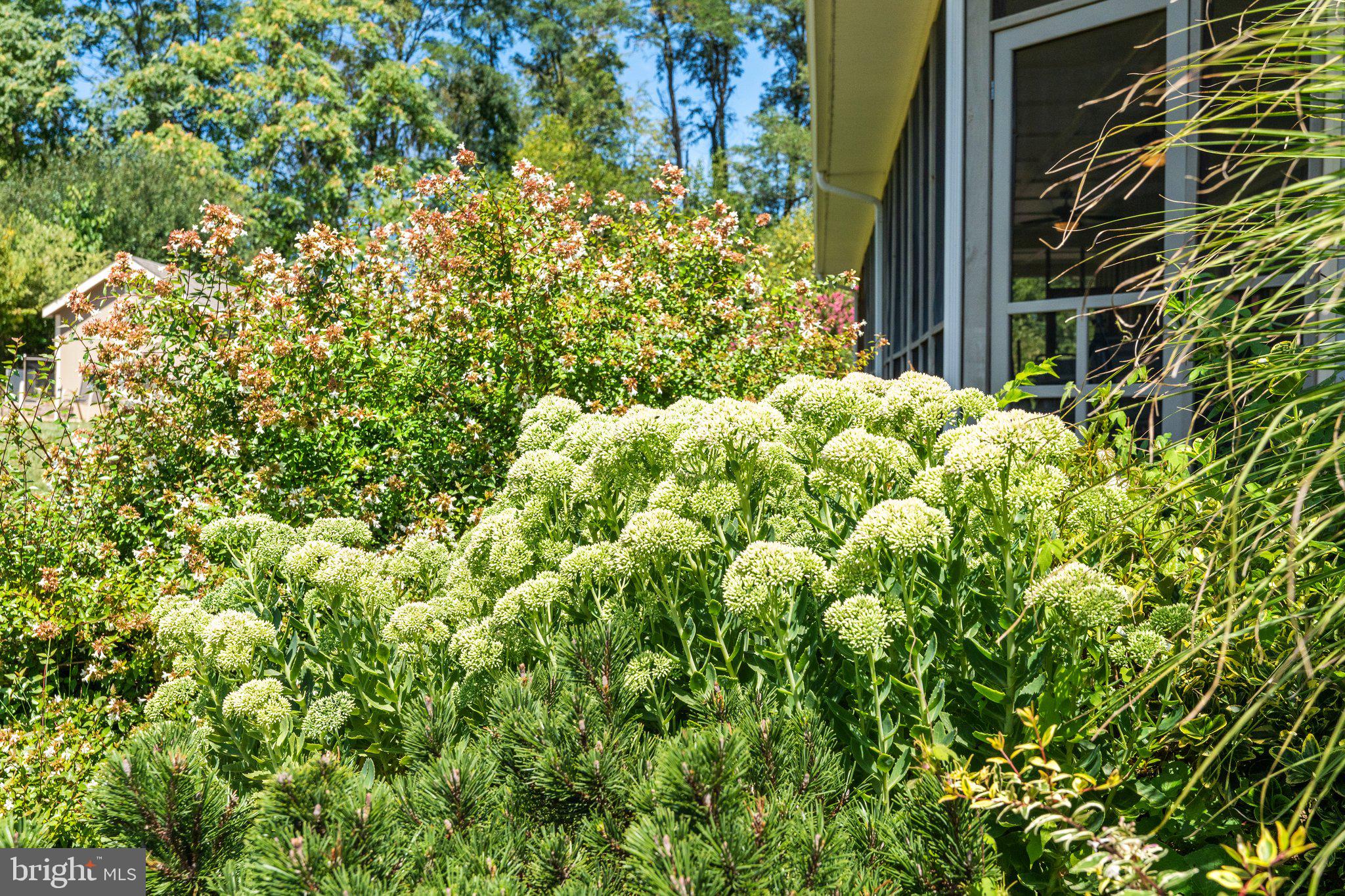 LOVETTSVILLE - Residential