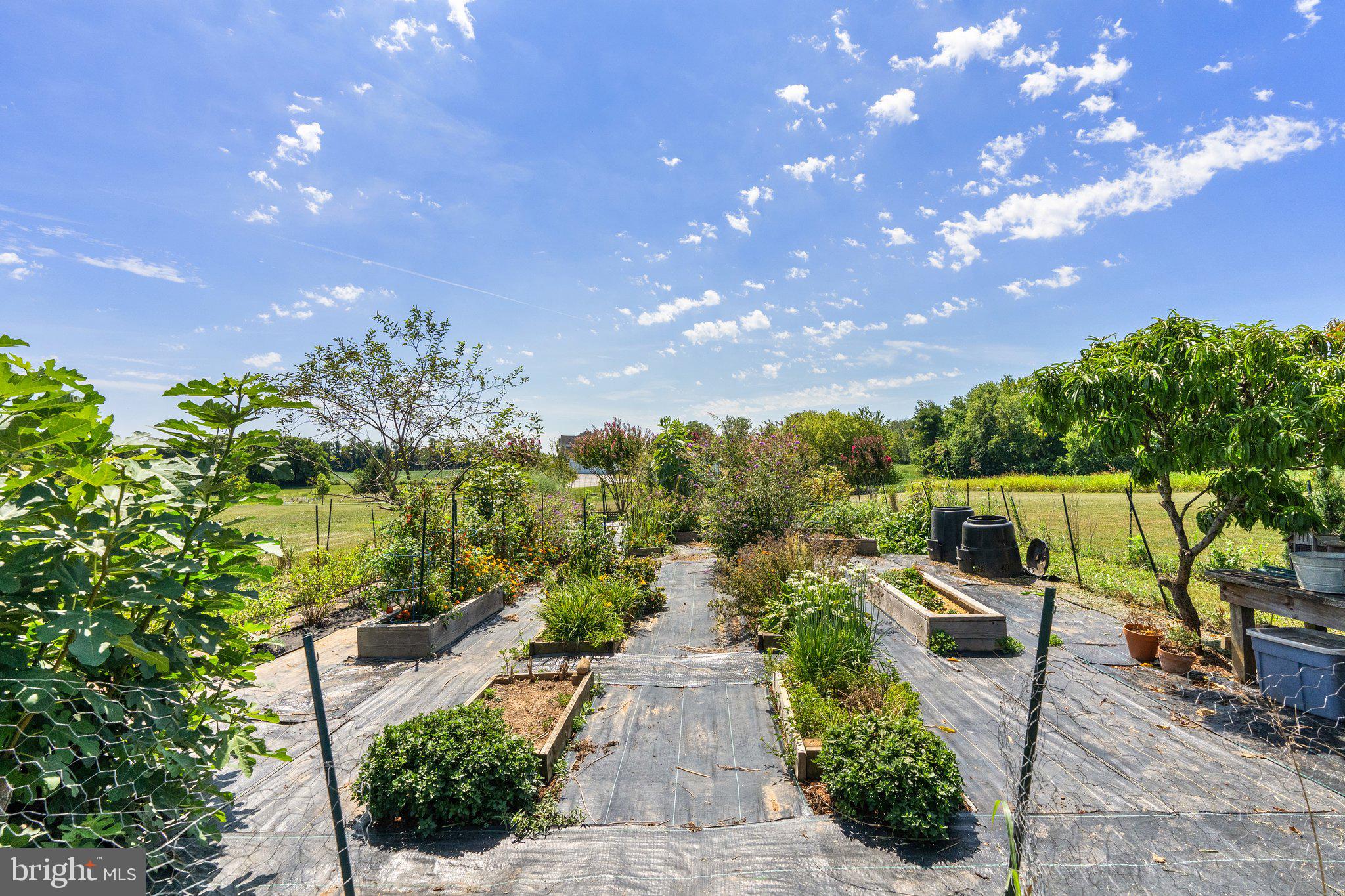 LOVETTSVILLE - Residential