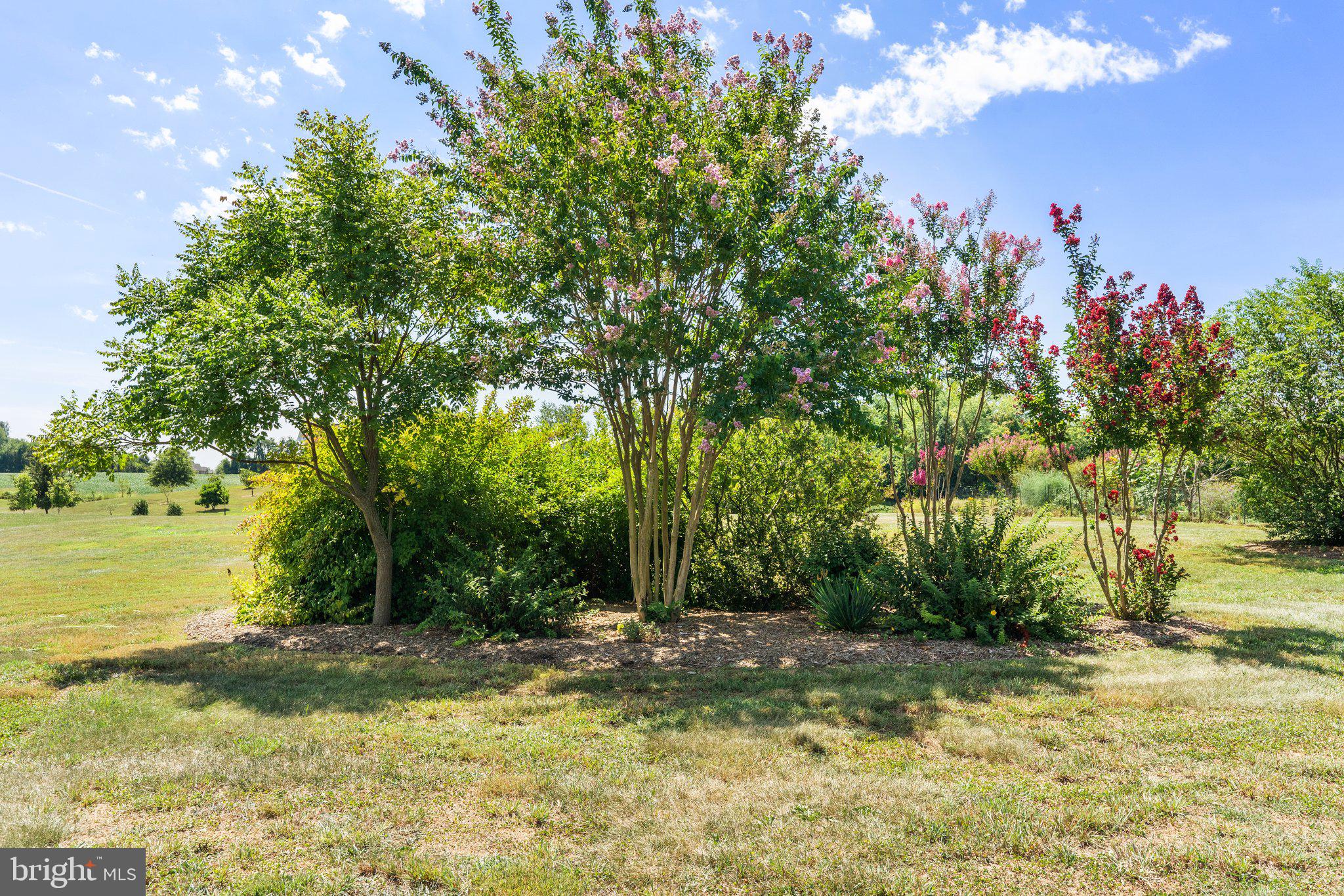 LOVETTSVILLE - Residential