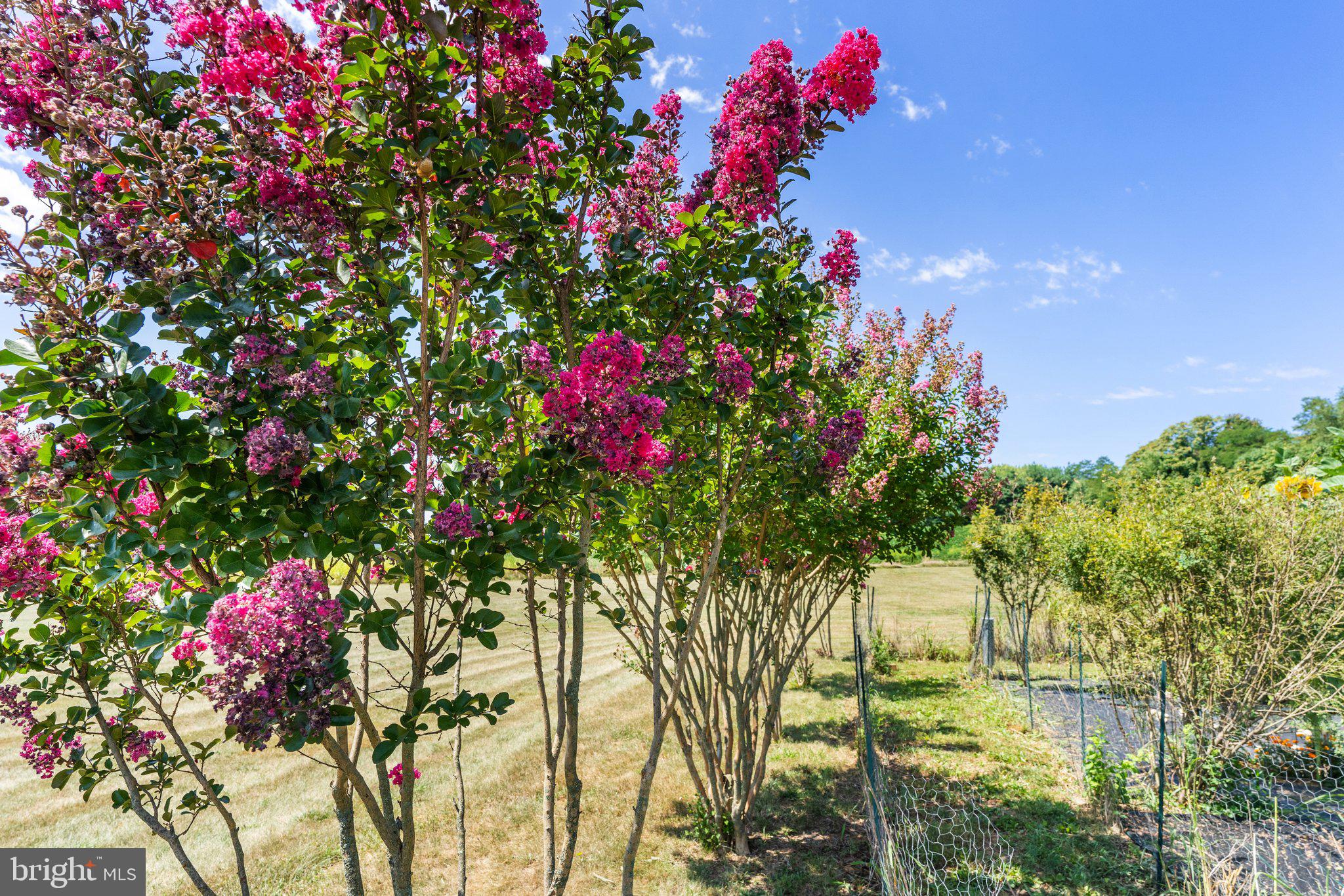 LOVETTSVILLE - Residential