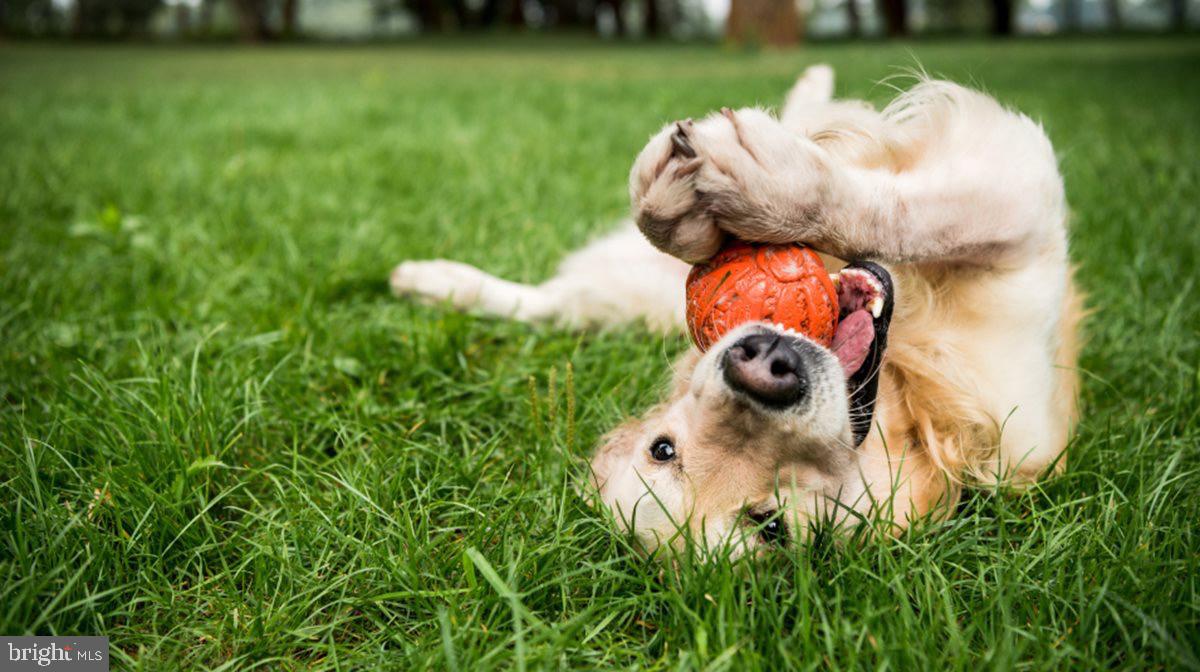 ST CHARLES - Residential