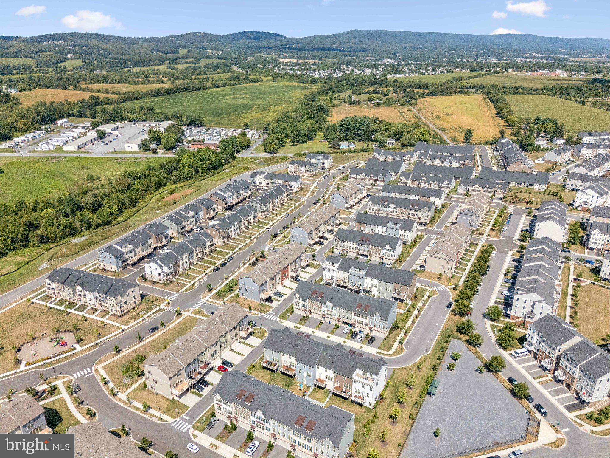 HARRINGTON TERRACE - Residential