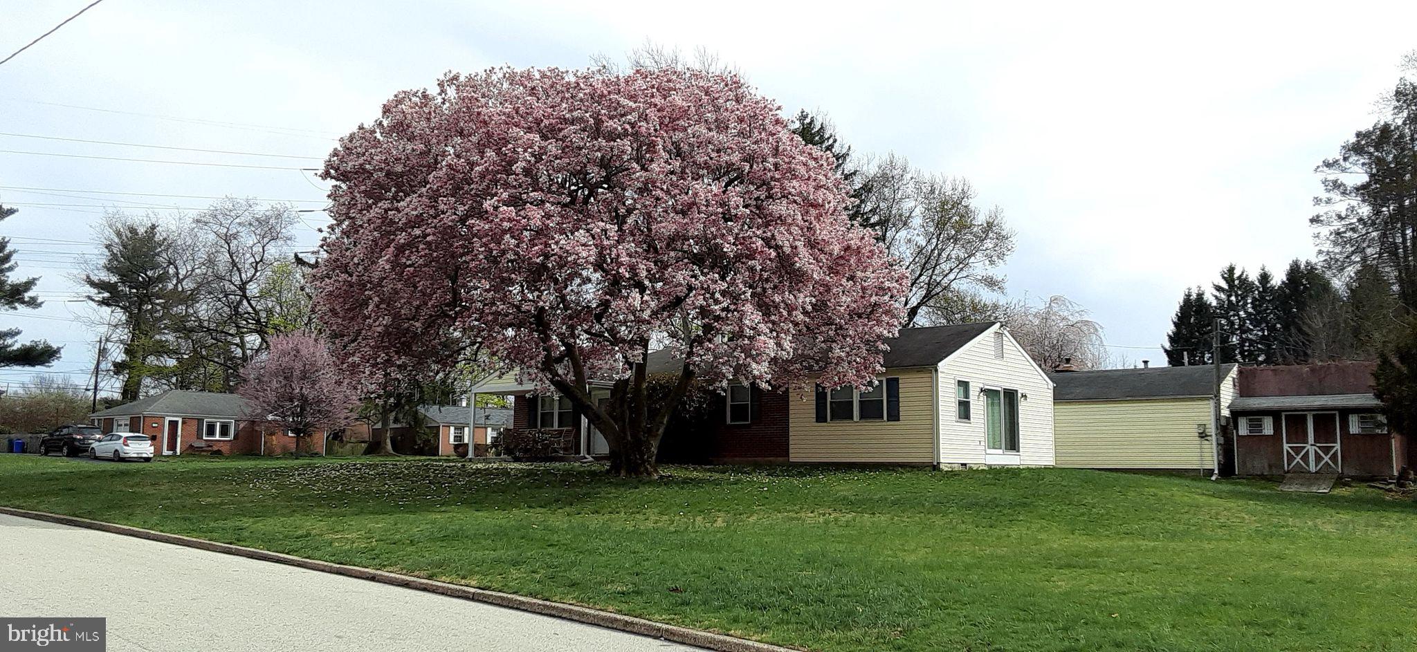 PLYMOUTH VALLEY - Residential